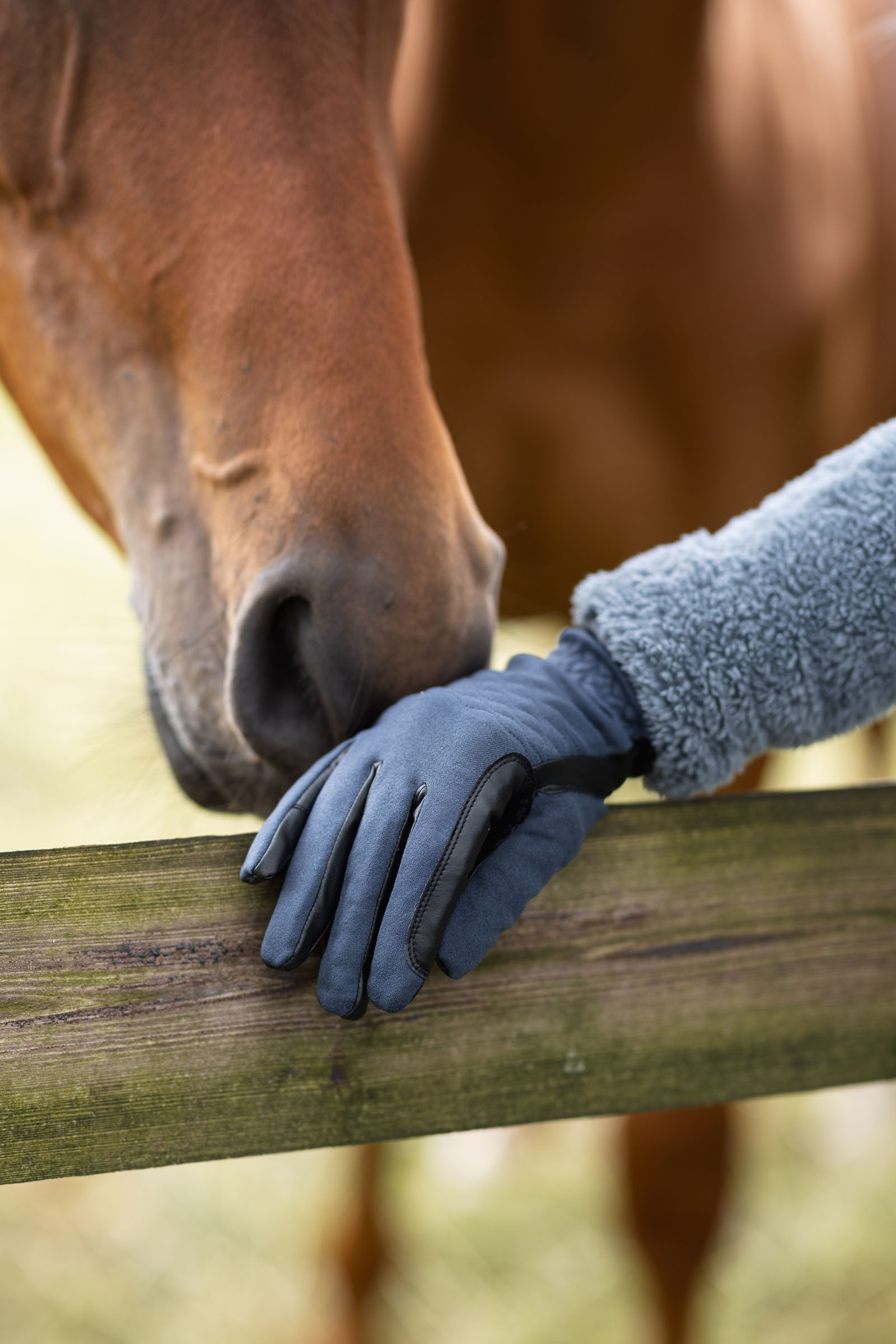 Horze Jimena Reithandschuhe