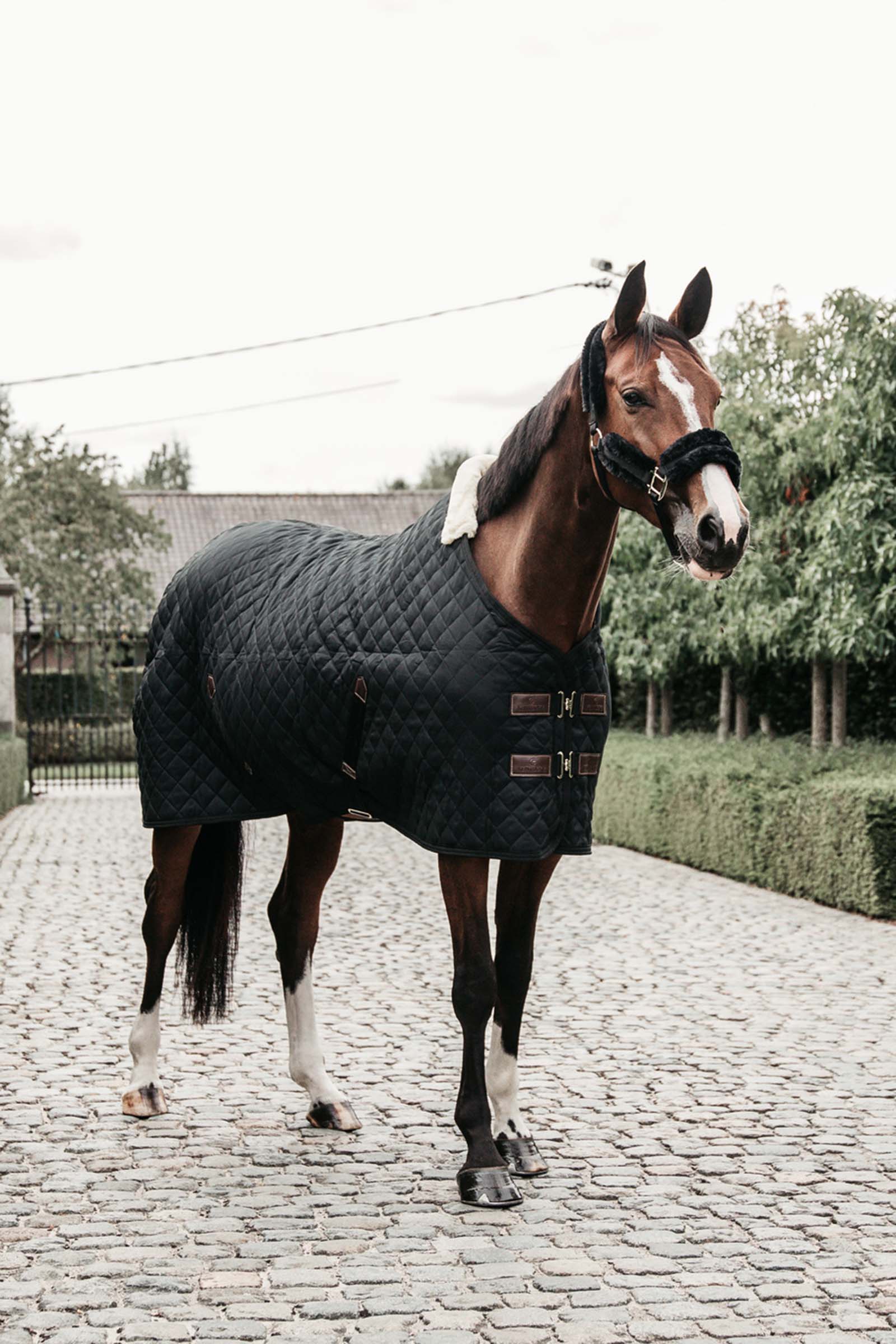 Kentucky Horsewear Stalldecke, 400g