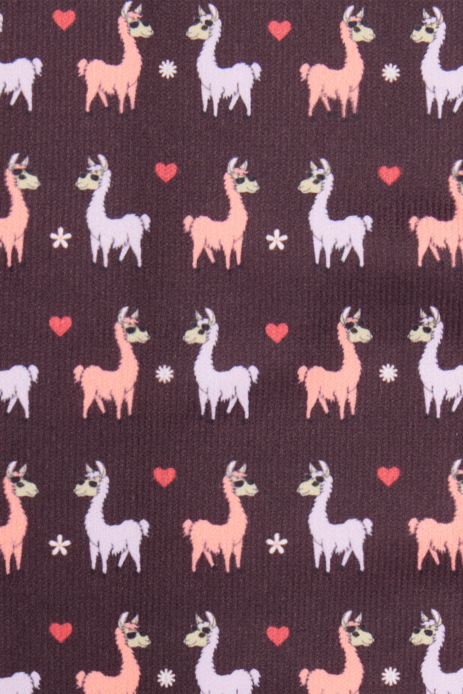 LeMieux Llamas Footsie Socken
