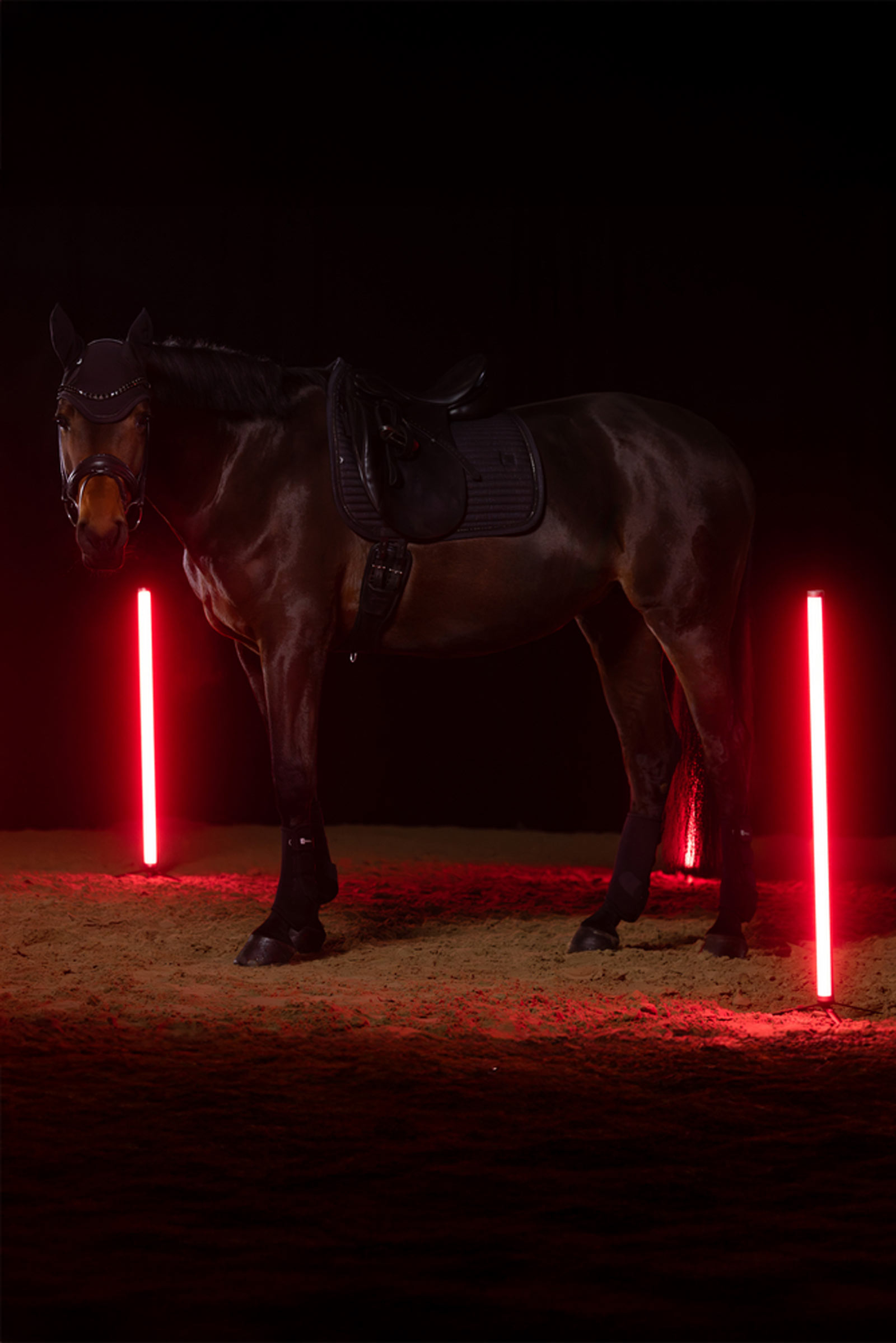 Eskadron Dynamics AW25 Sparkle Crystal Dressurschabracke