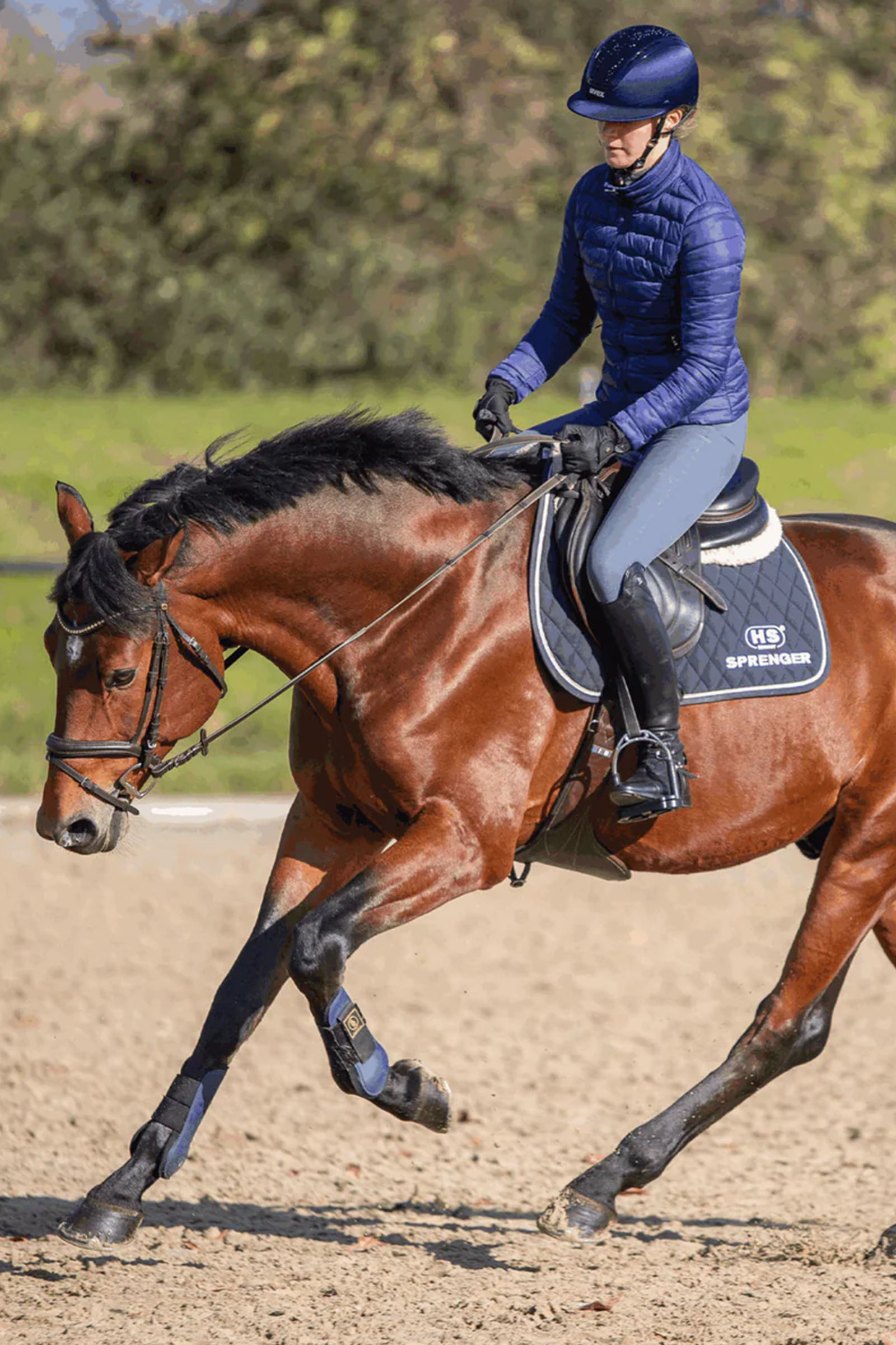 Sprenger Novocontact Oliv.K.TR. Doppelt Gebr.