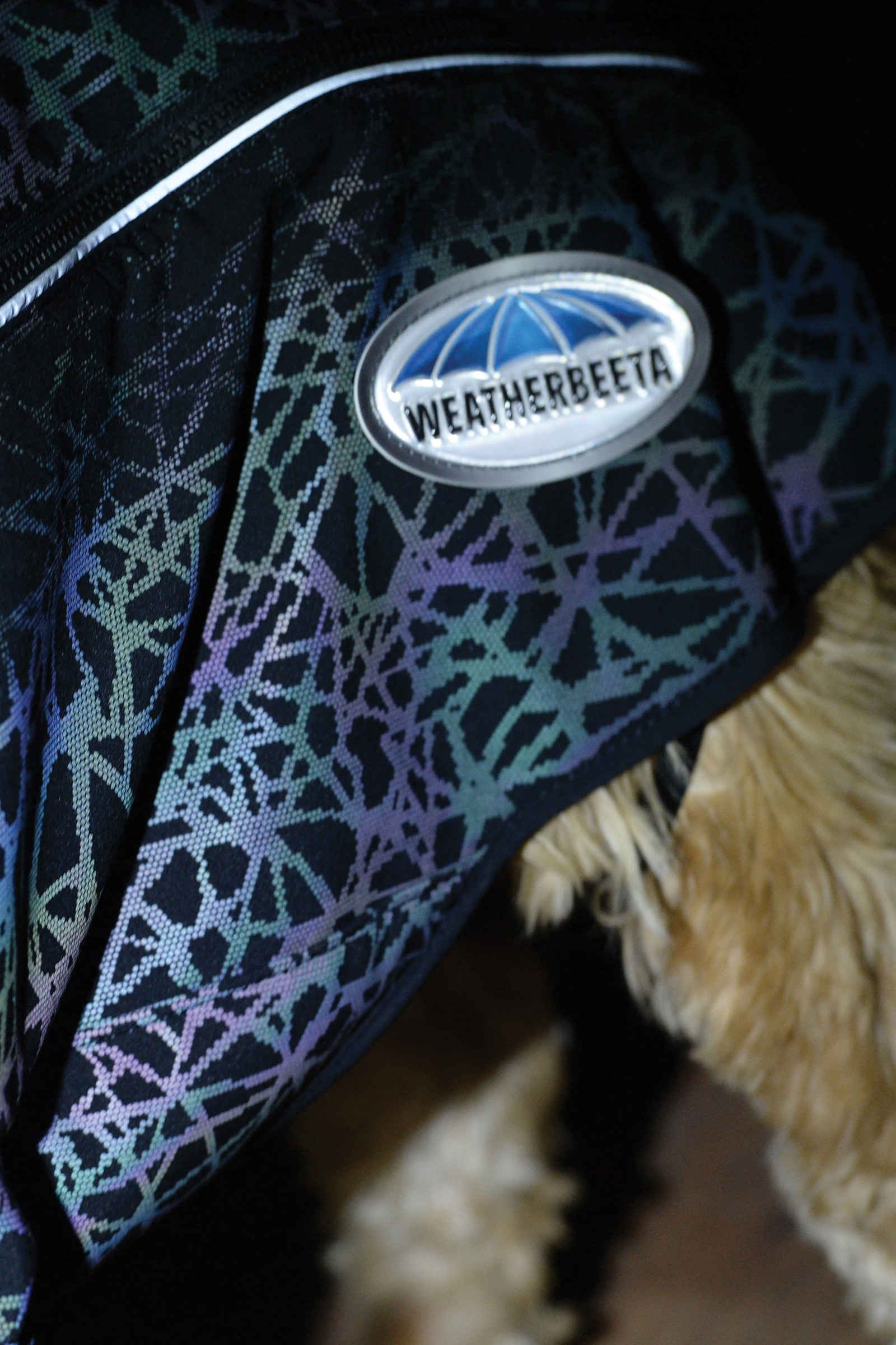 Weatherbeeta Comfitec Reflective Print Active Hundemantel