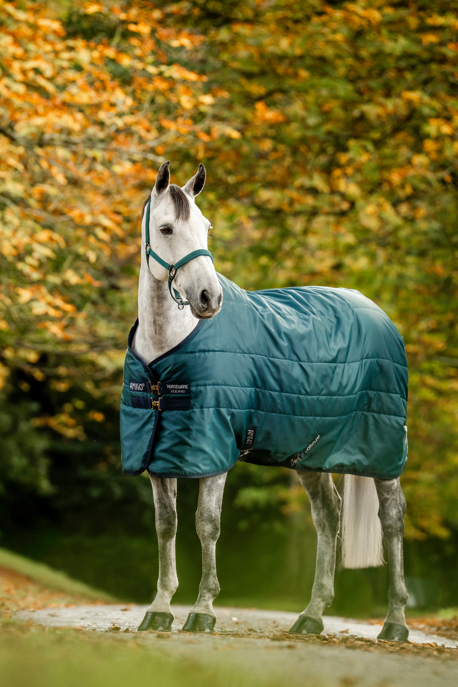 Horseware Amigo Ripstop Stalldecke mit Füllung, 350 g