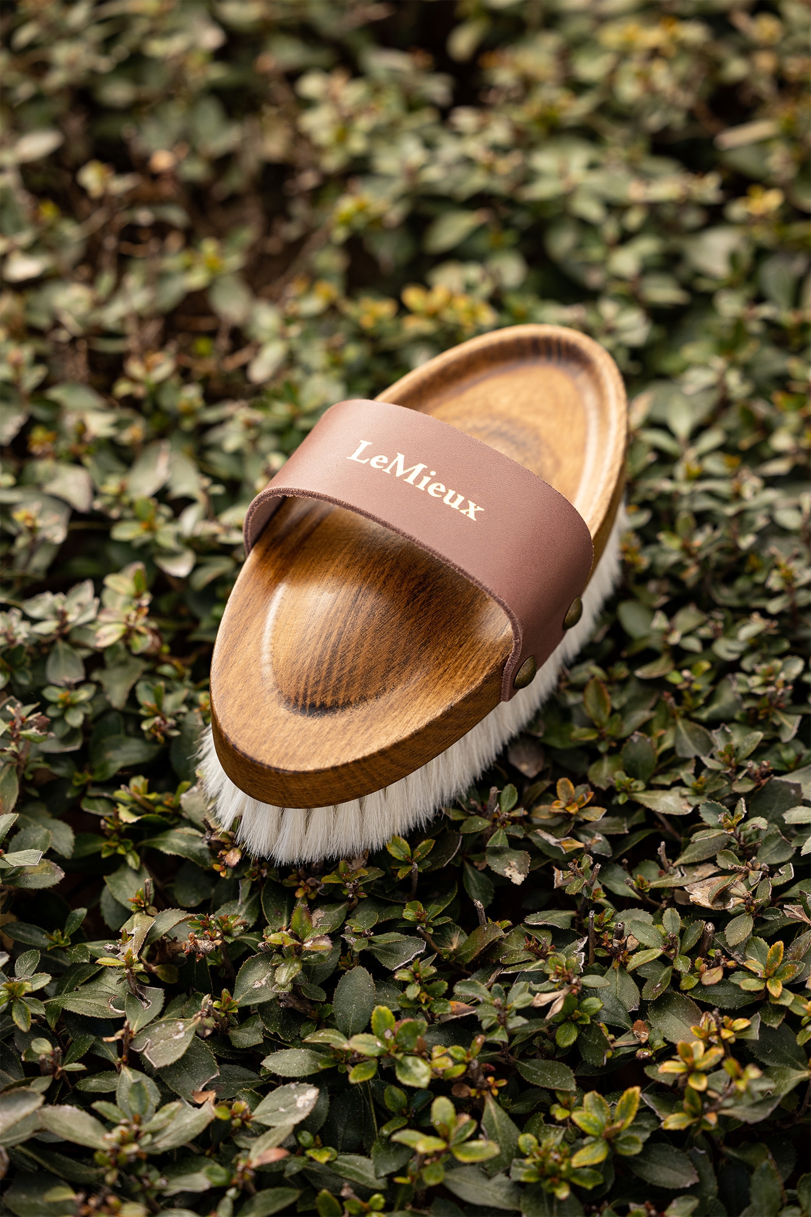 LeMieux Artisan weiche Ziegenhaarbürste