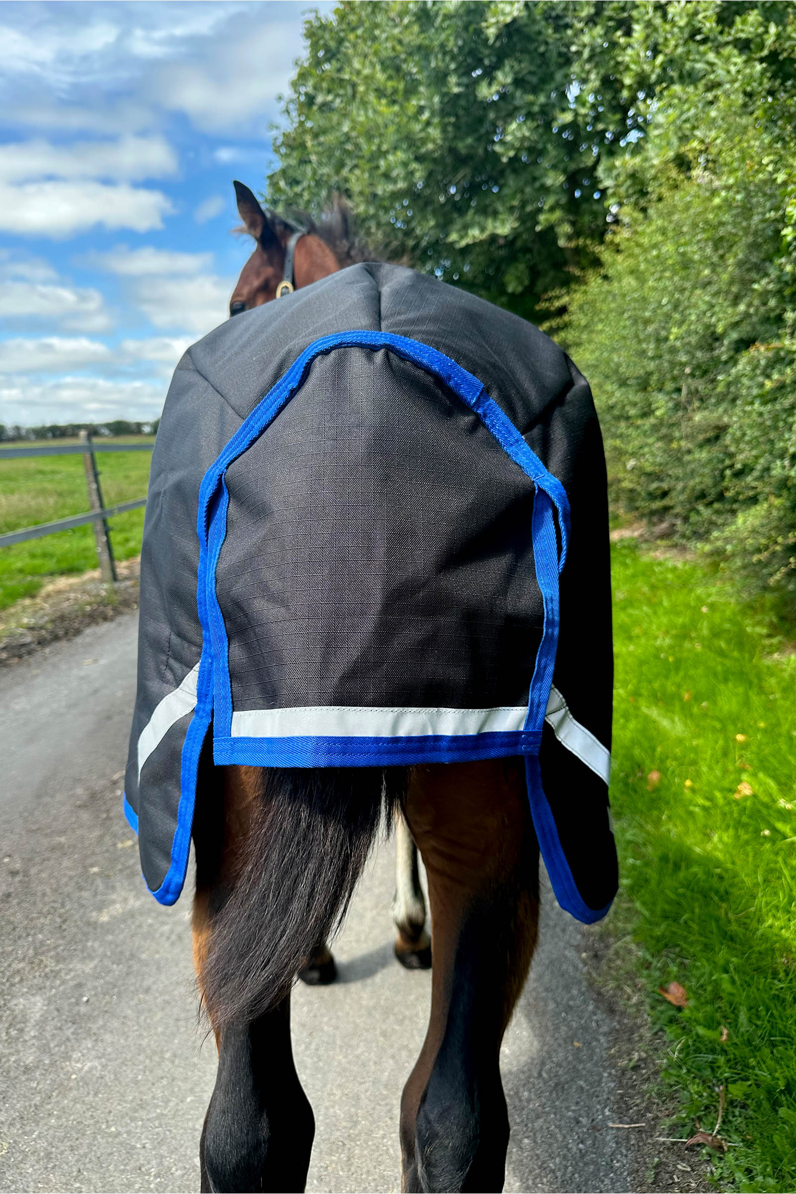 Horseware Amigo Ripstop 900D Weidedecke für Fohlen 200g