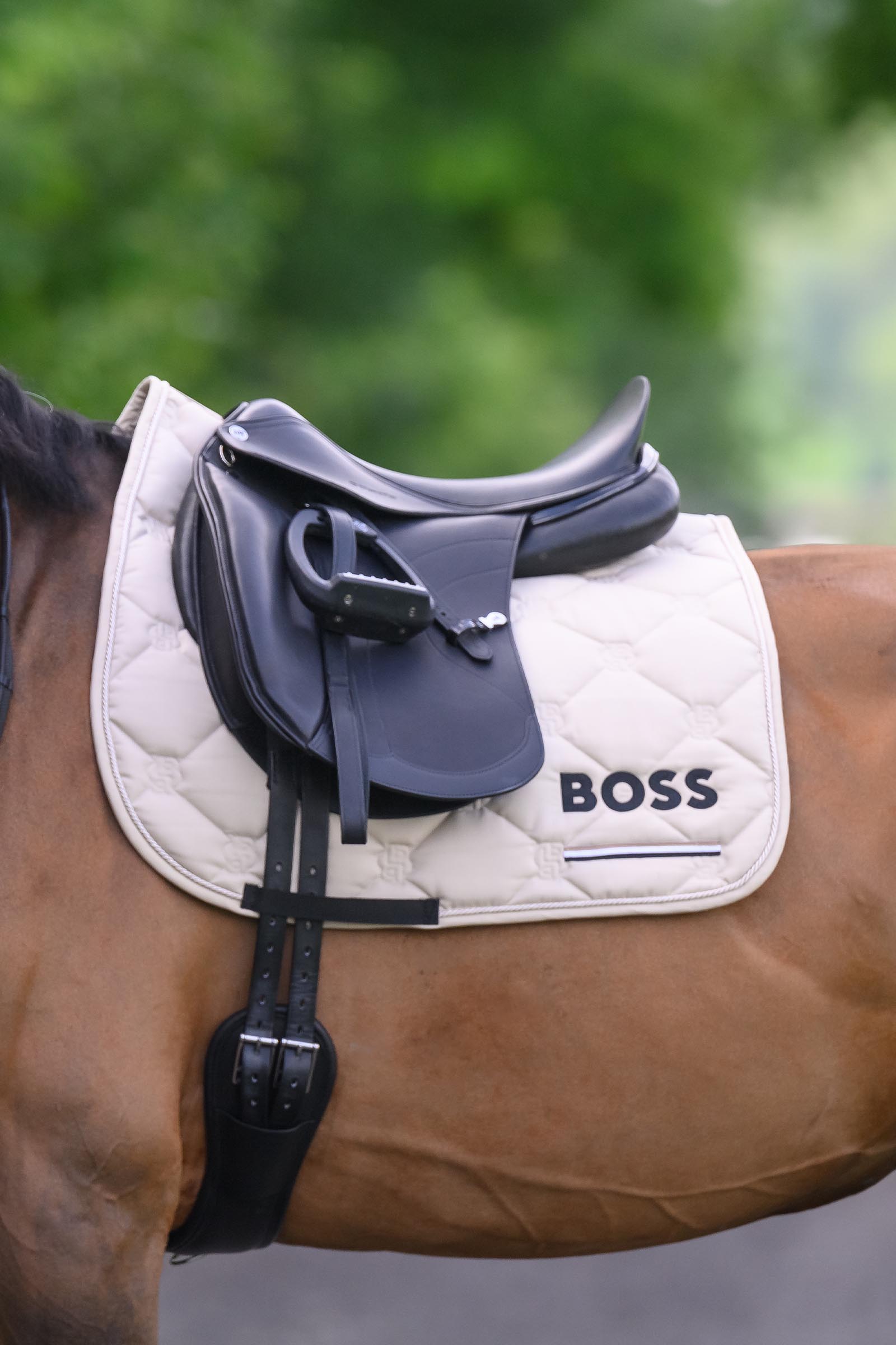 Boss Cambridge Dressurschabracke