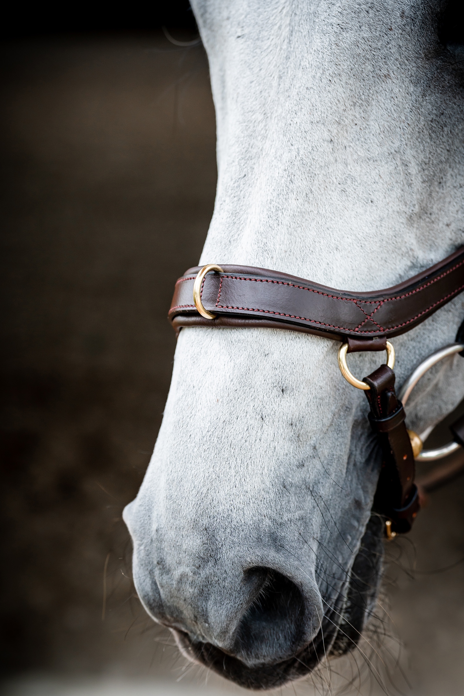 Horseware Micklem 2 Multi Trense