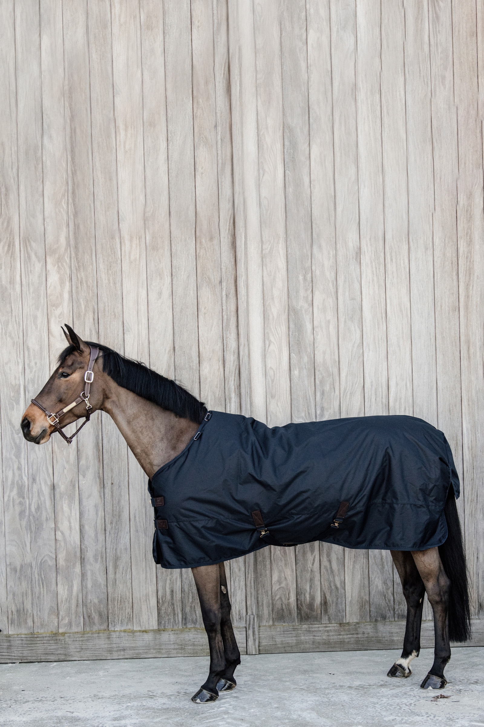 Kentucky Horsewear All Weather Waterproof Classic Regendecke, 50g