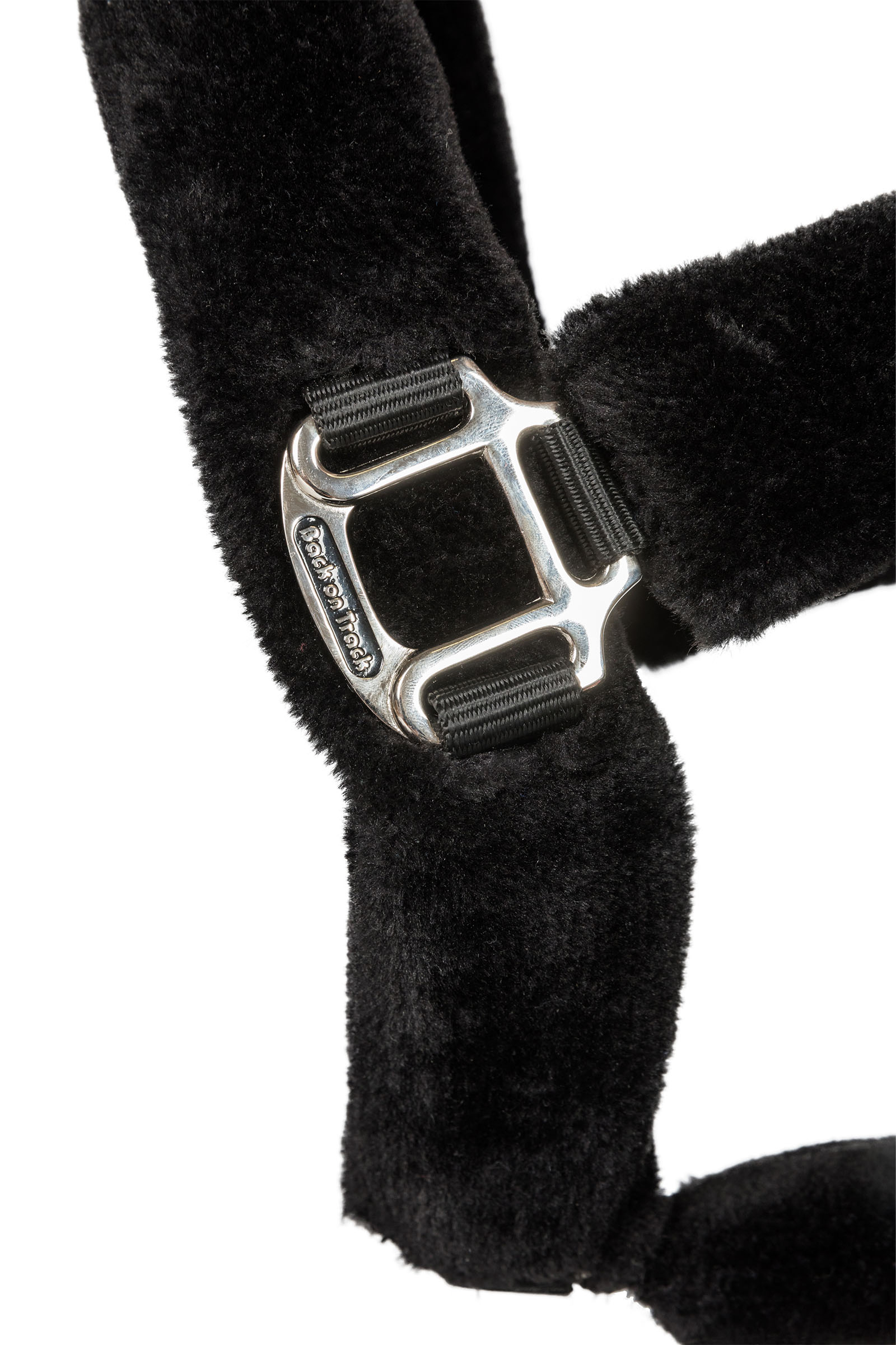 Back on Track Audrey Halfter