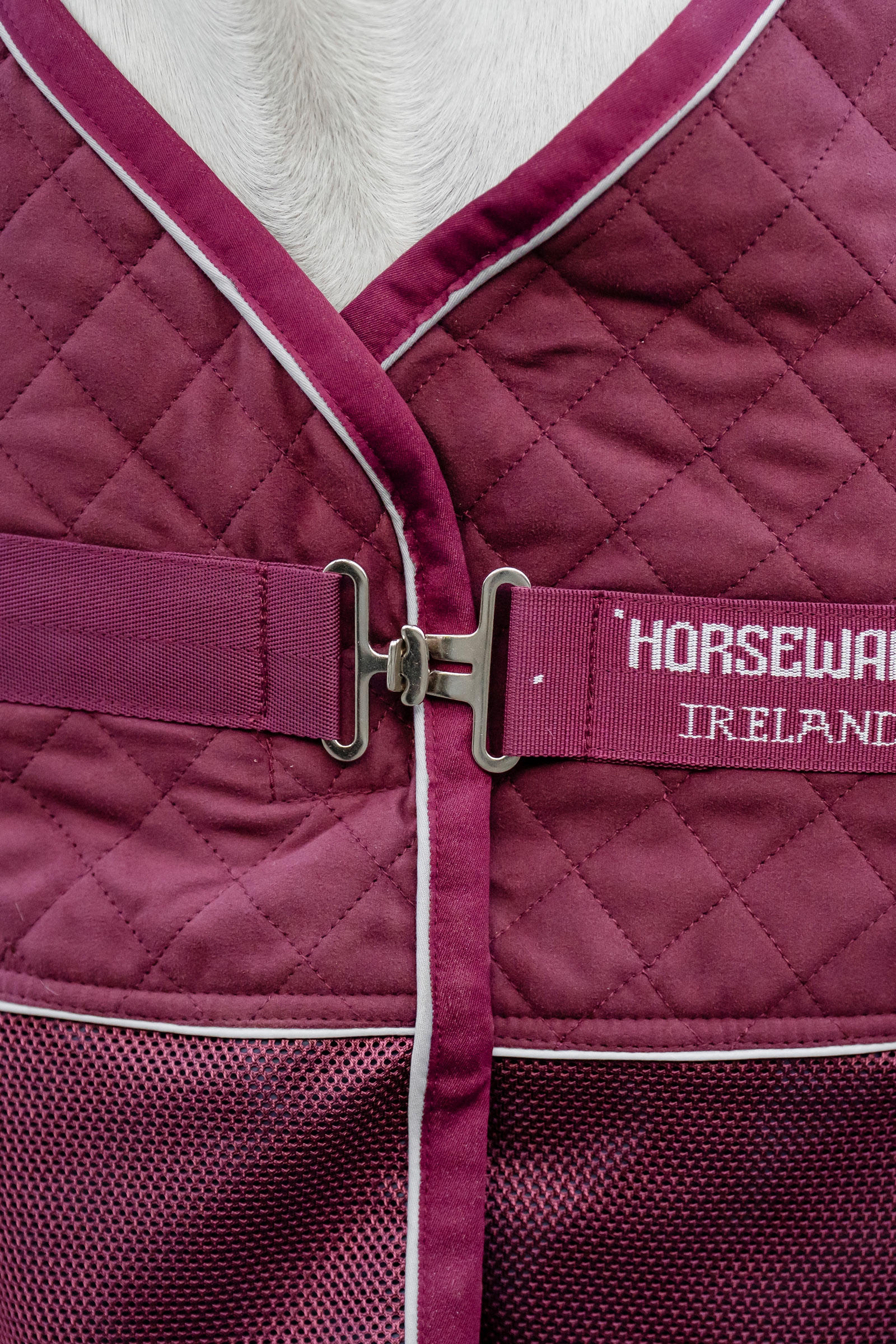 Horseware Signature Abschwitzdecke für den Transport