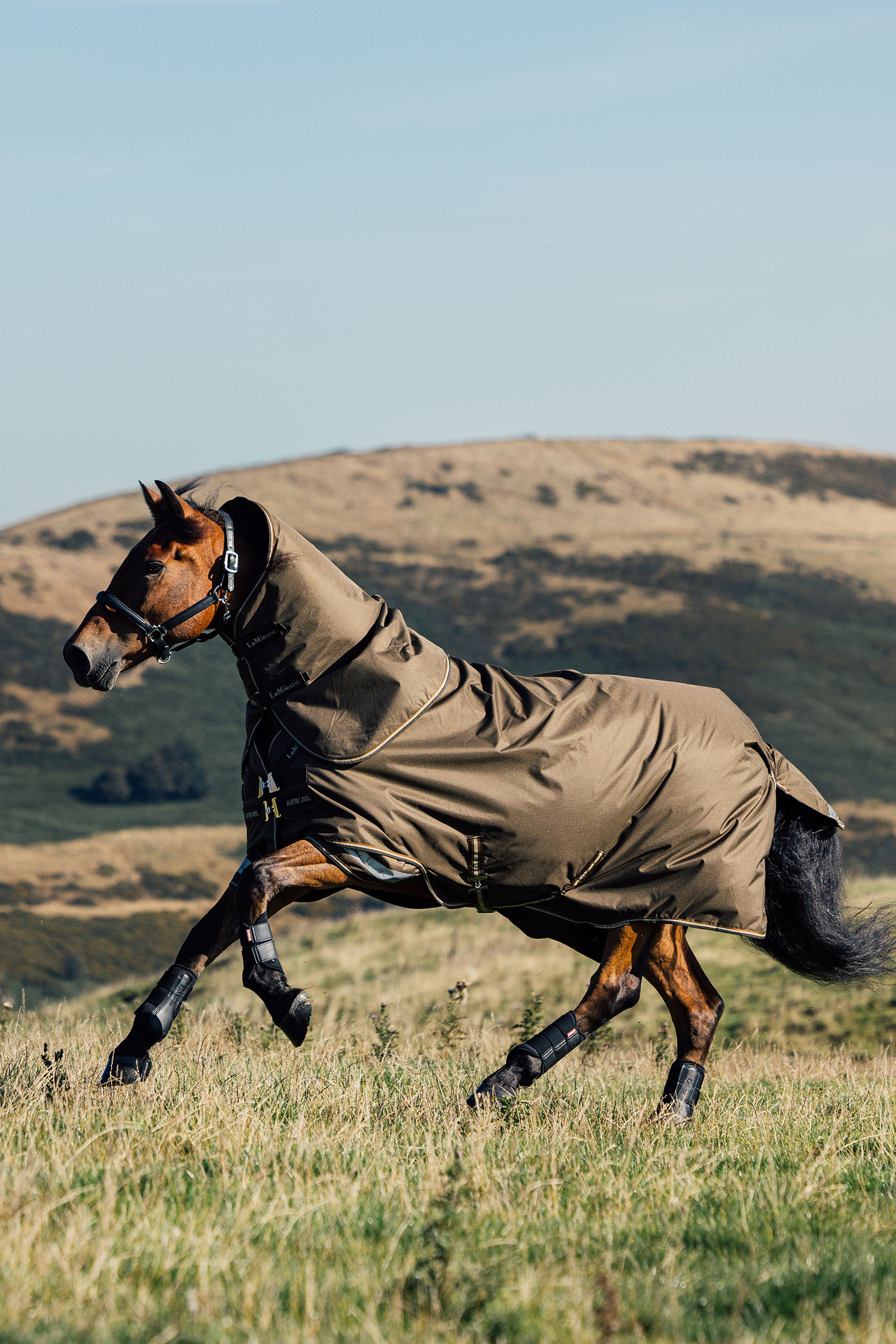 LeMieux Arika Ripstop Weidedecke mit abnehmbarem Halstseil, 200 g