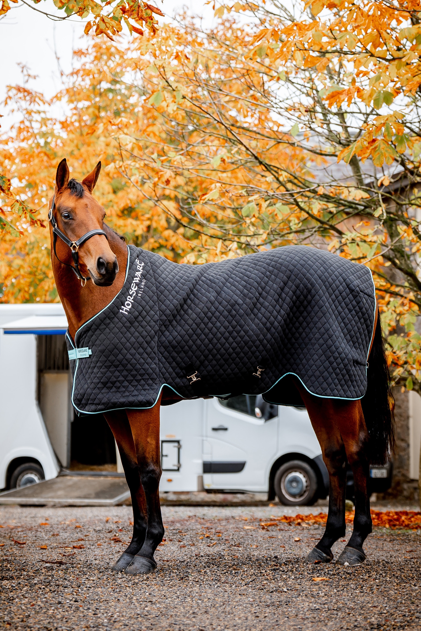 Horseware Autumn Cooler Abschwitzdecke