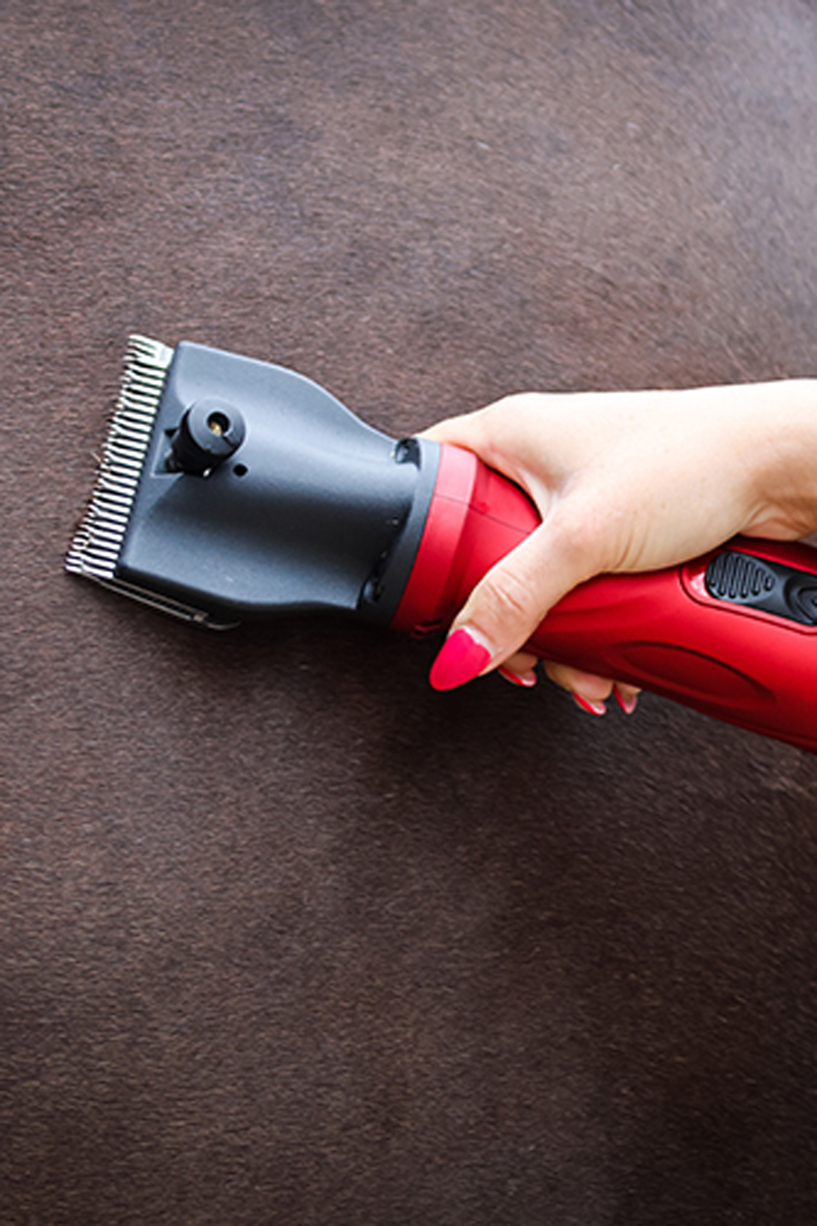 Liveryman Phoenix EU Clipper, 1.5 mm