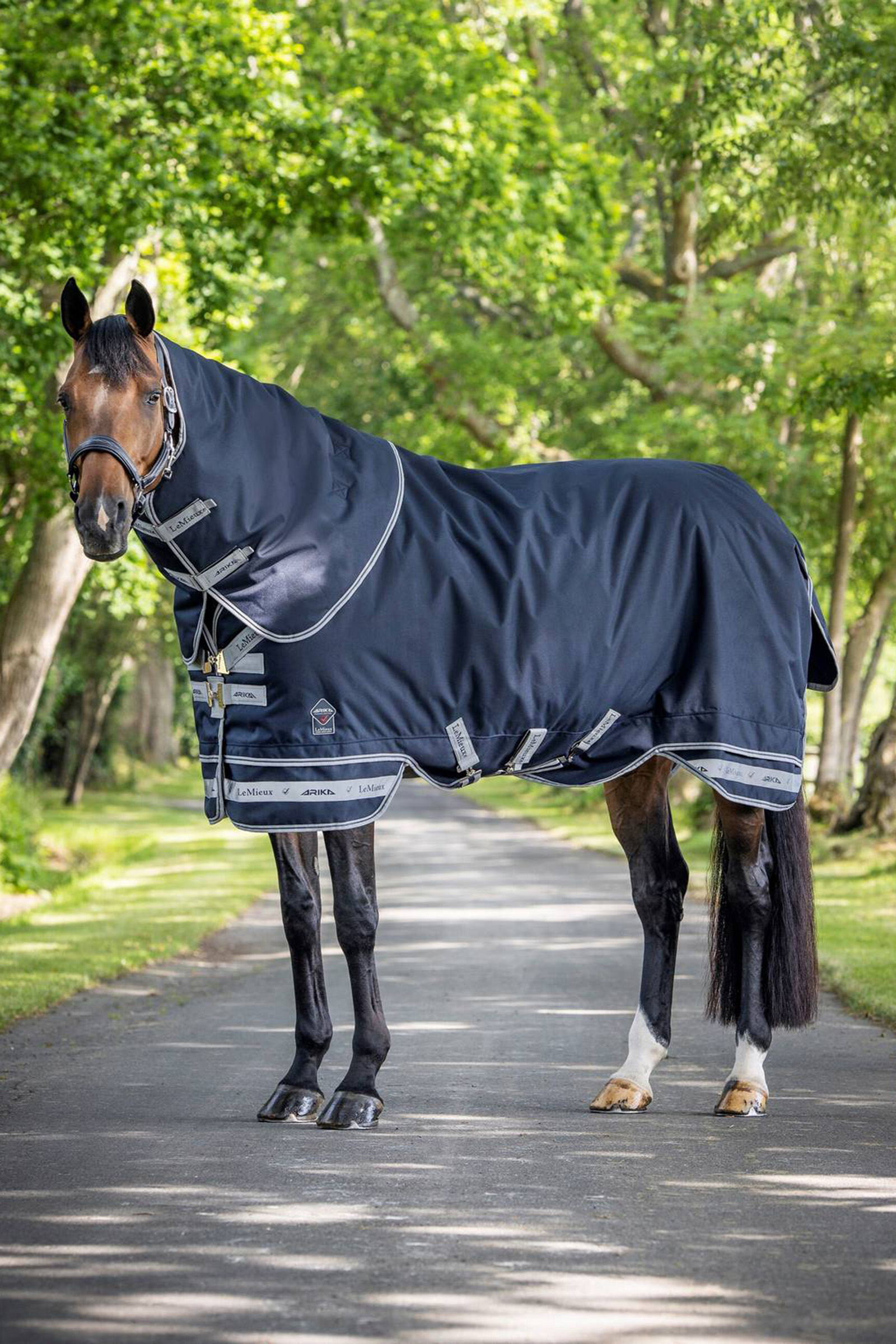 LeMieux Arika Storm-Tek Lightweight Turnout Rug, 100g