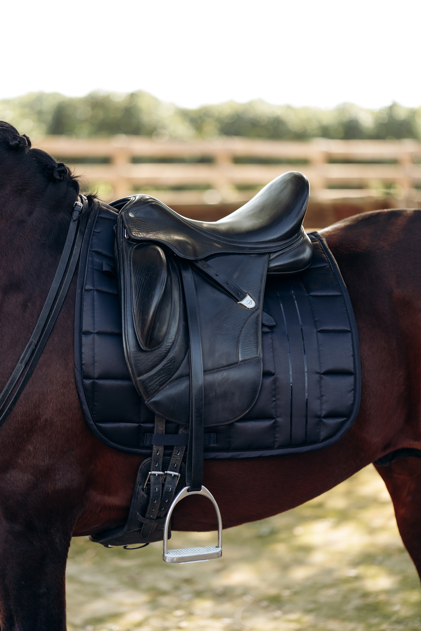 B Vertigo Drew Dressurschabracke