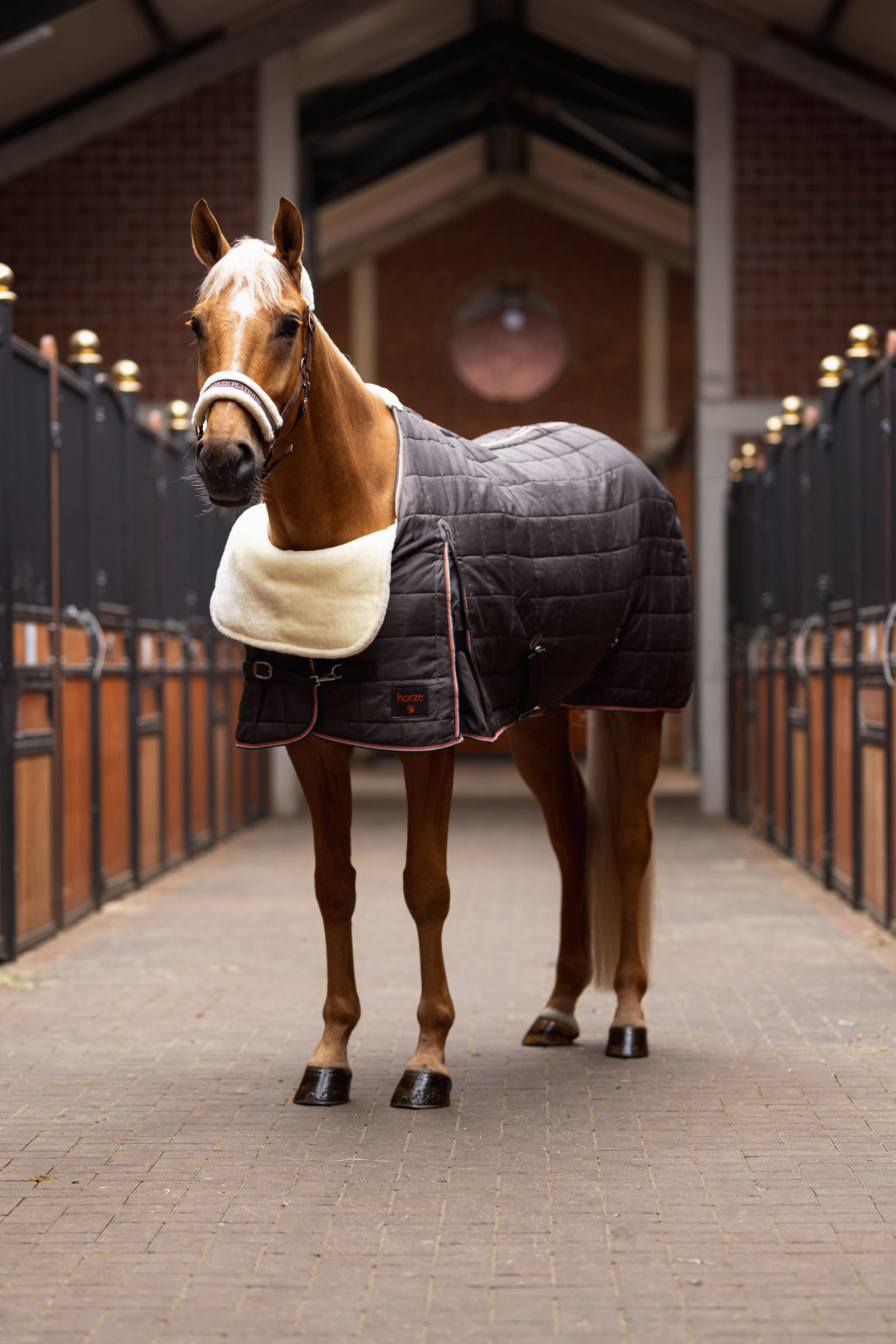 Horze Komfort Schulterschutz