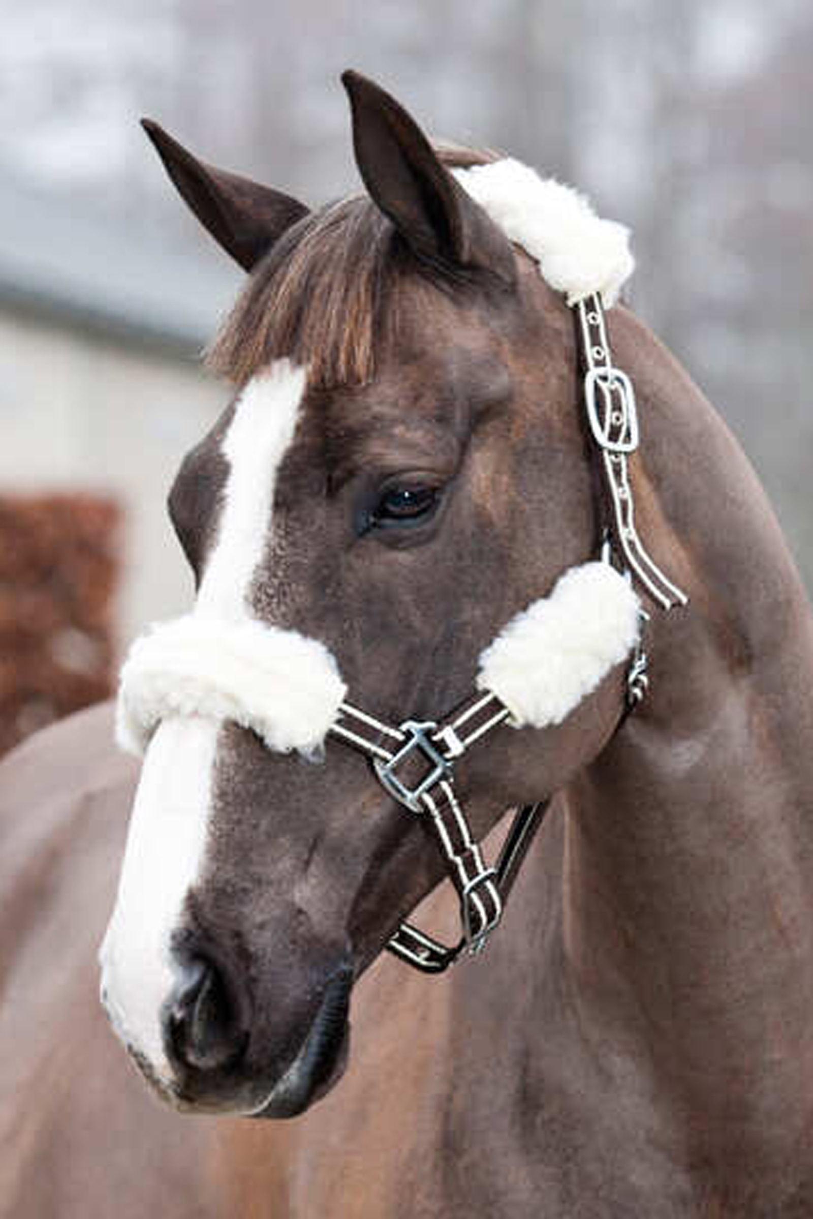 Horze Halfter-Polster, 4er Set