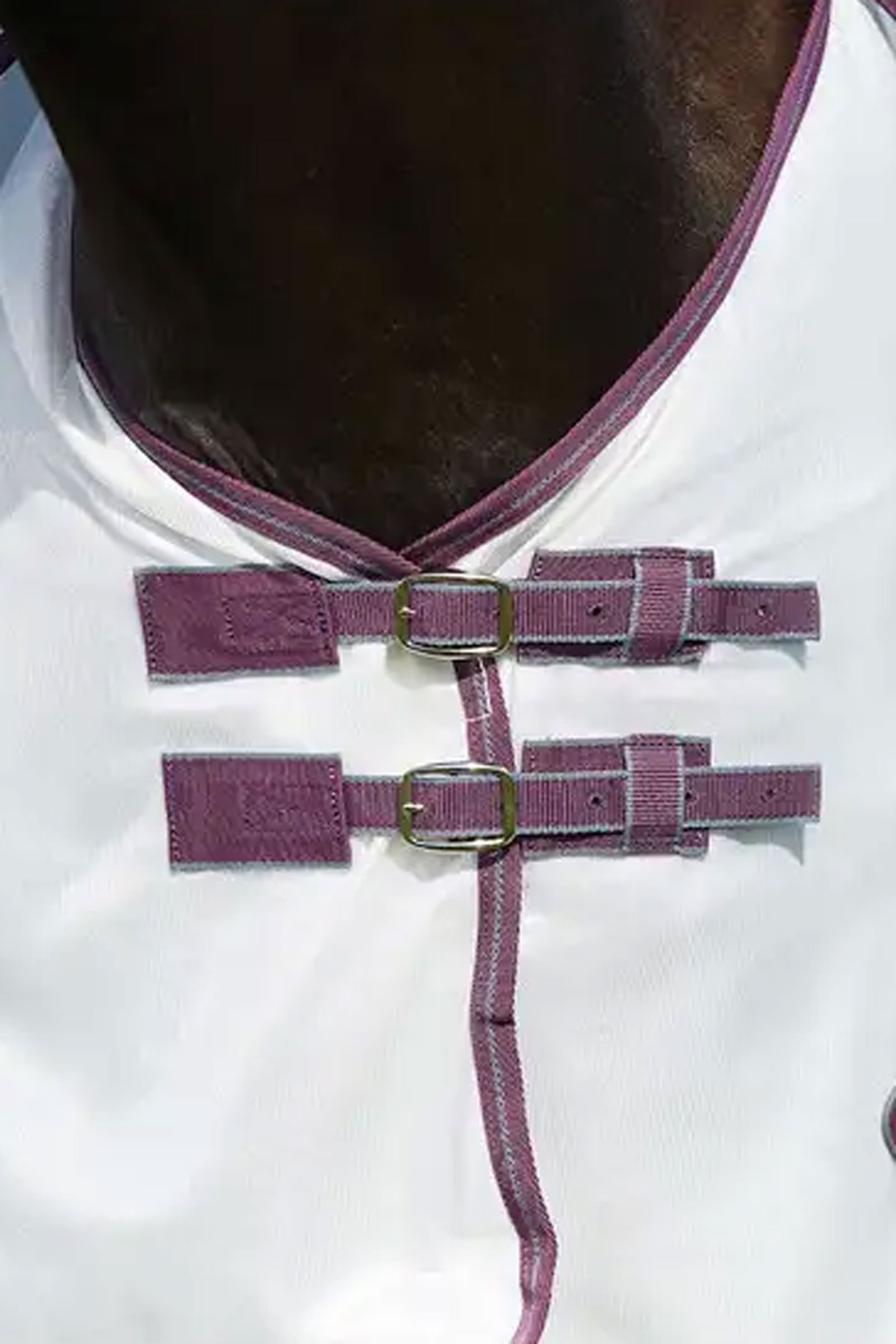 Weatherbeeta Comfitec Essential Mesh II Fliegendecke mit festem Halsteil