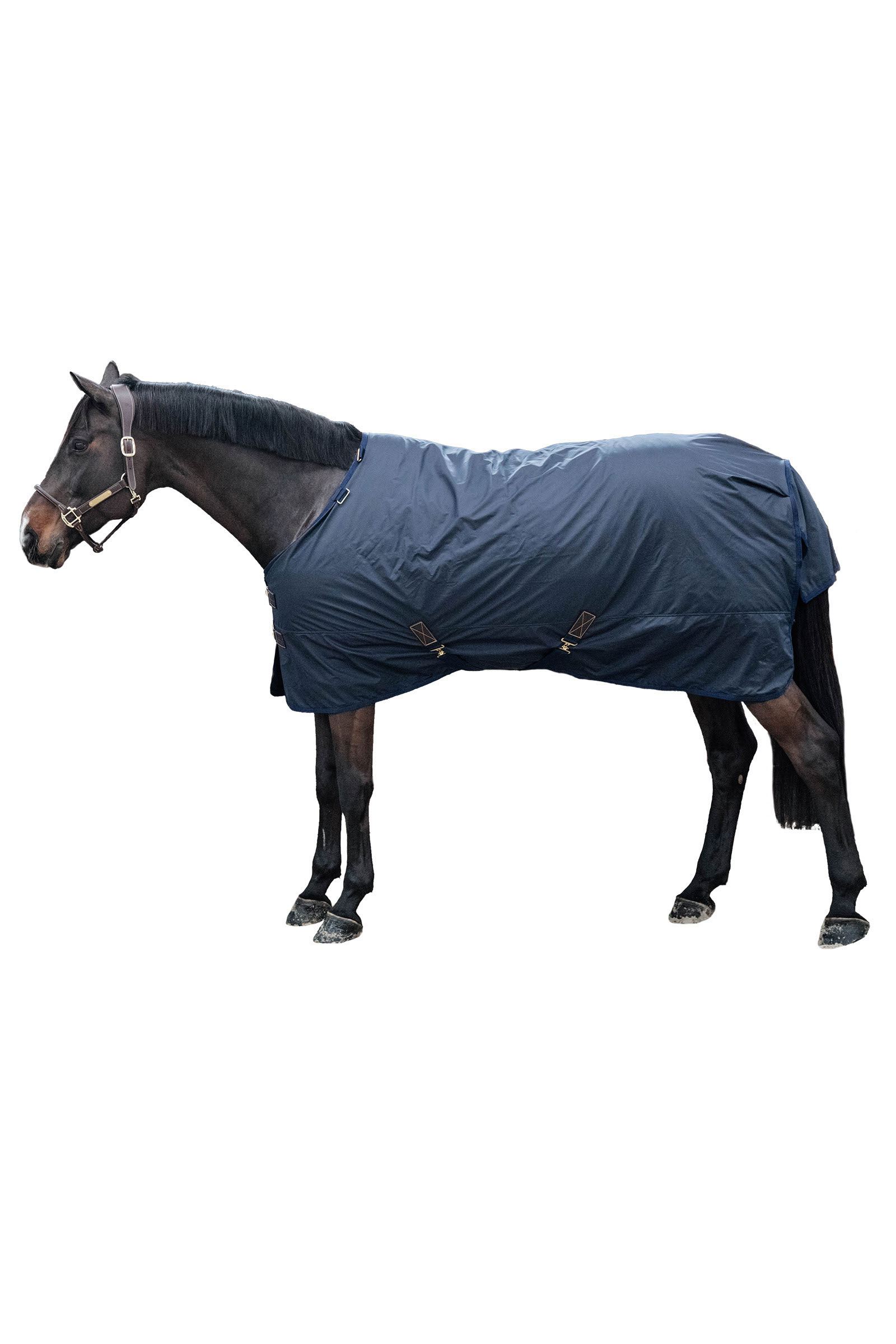 Kentucky Horsewear All Weather Hurricane Weidedecke, 0g