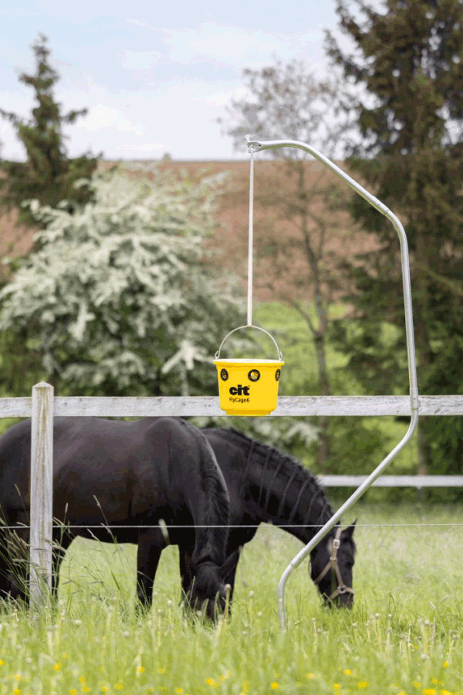 Kerbl Cit FlyCage6 Fliegenfalle, Set inkl. 750 g Lockstoff