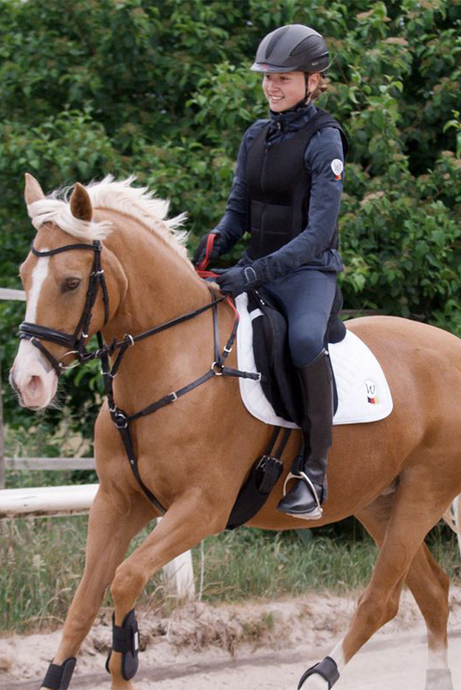 Waldhausen Vorderzeug Mit Sicherheitszügel Secutrust