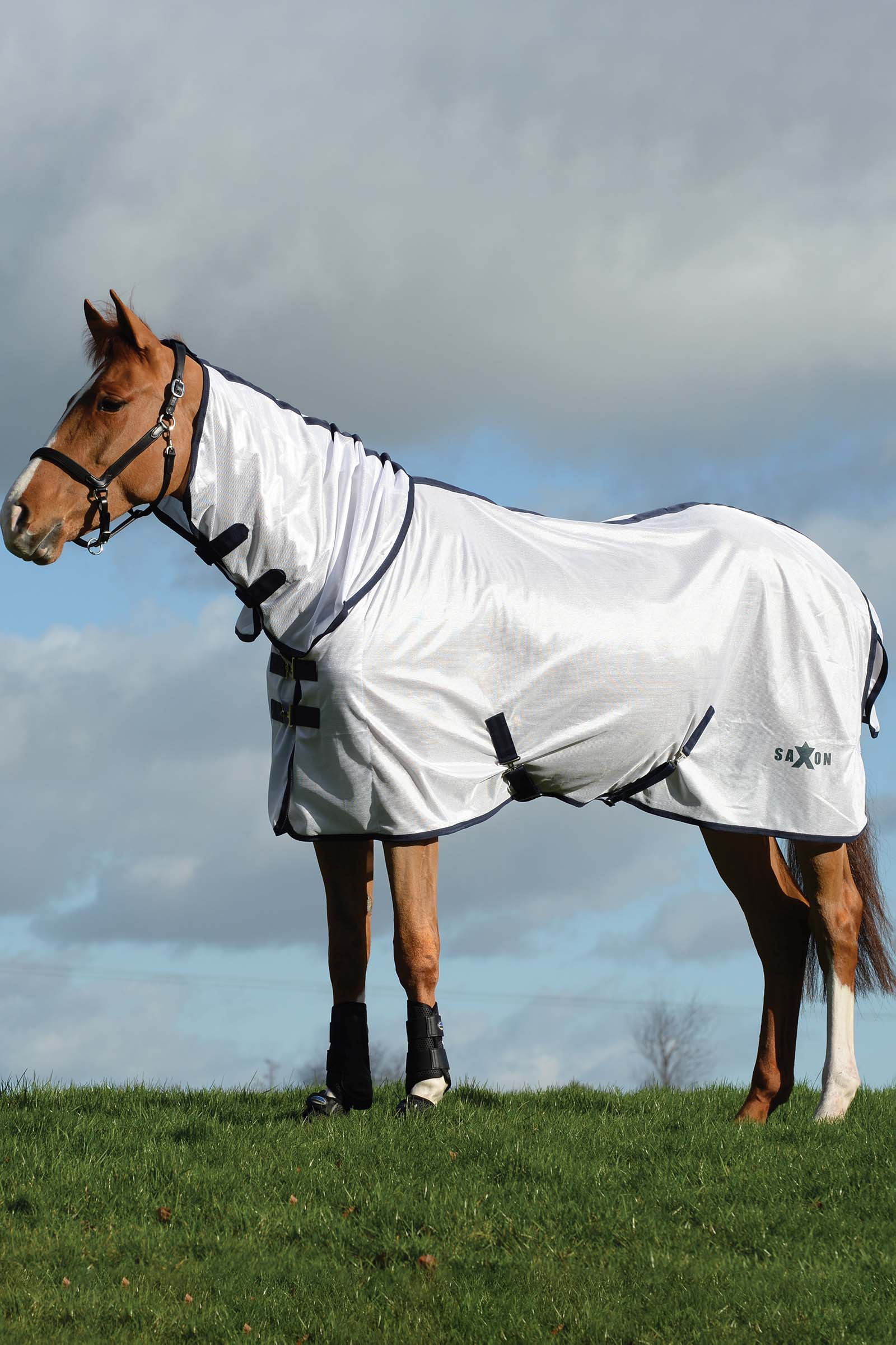 Saxon Mesh Combo Decke mit festem Halsteil