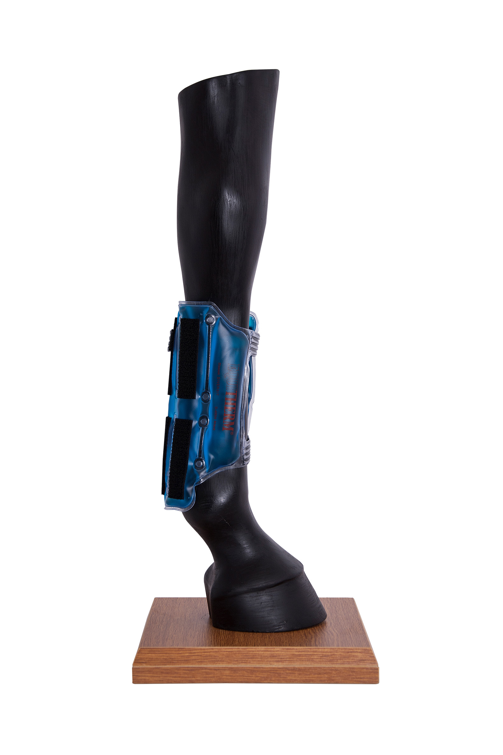 Stassek Equitherm Thermo-Gamasche zum Kühlen und Wärmen