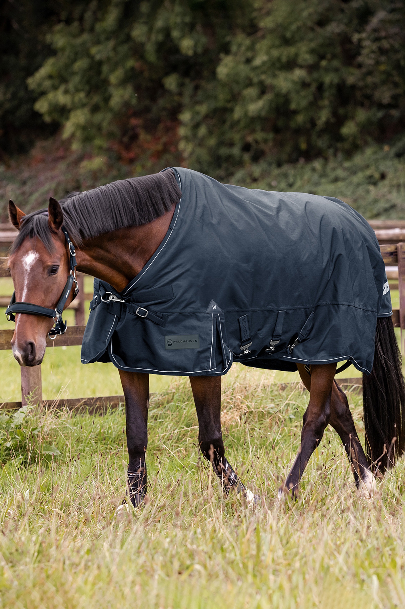 Waldhausen Outdoor Rug Scandic Light