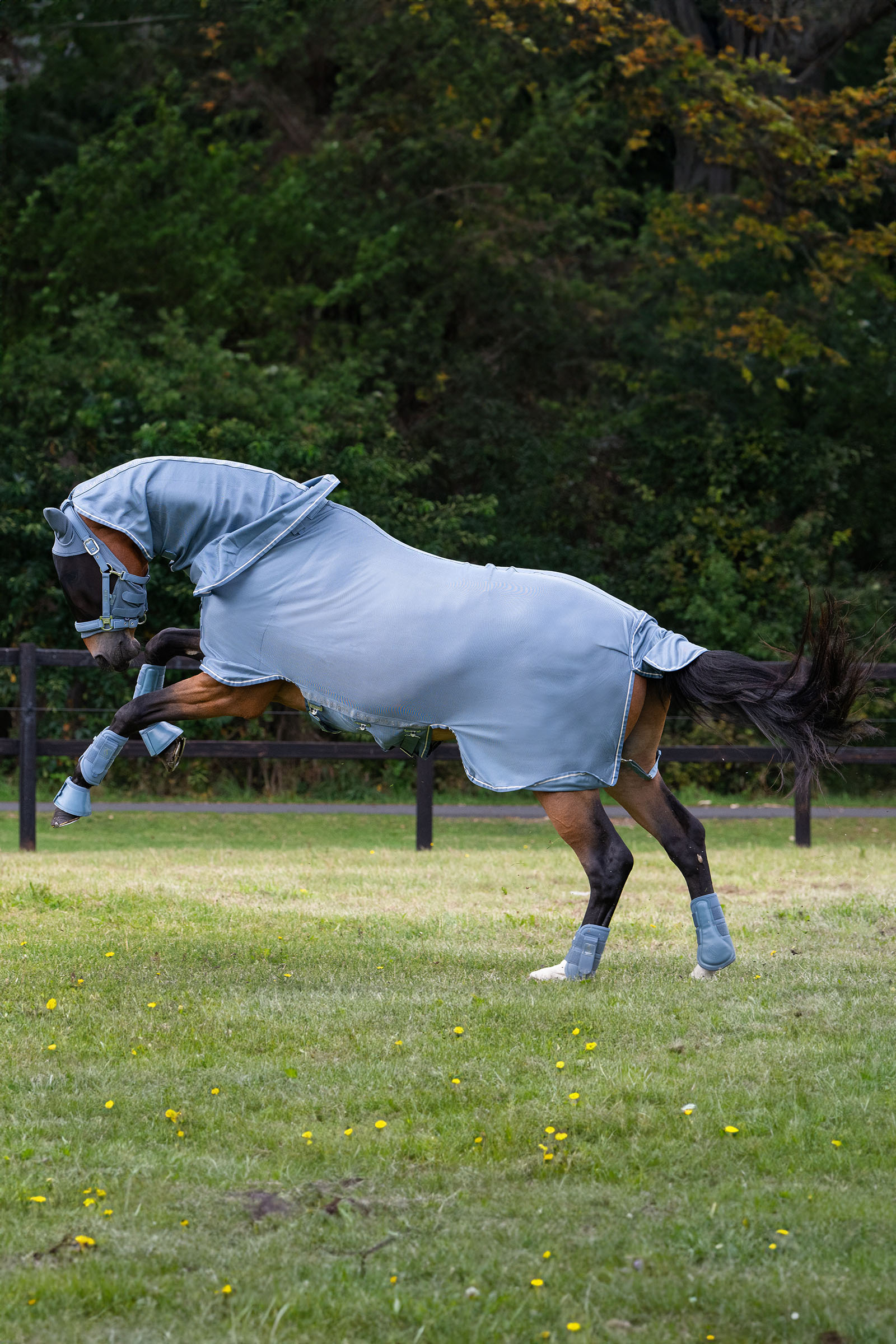 Eskadron Classic Sports SS25 Fly Detach-Neck Fliegendecke