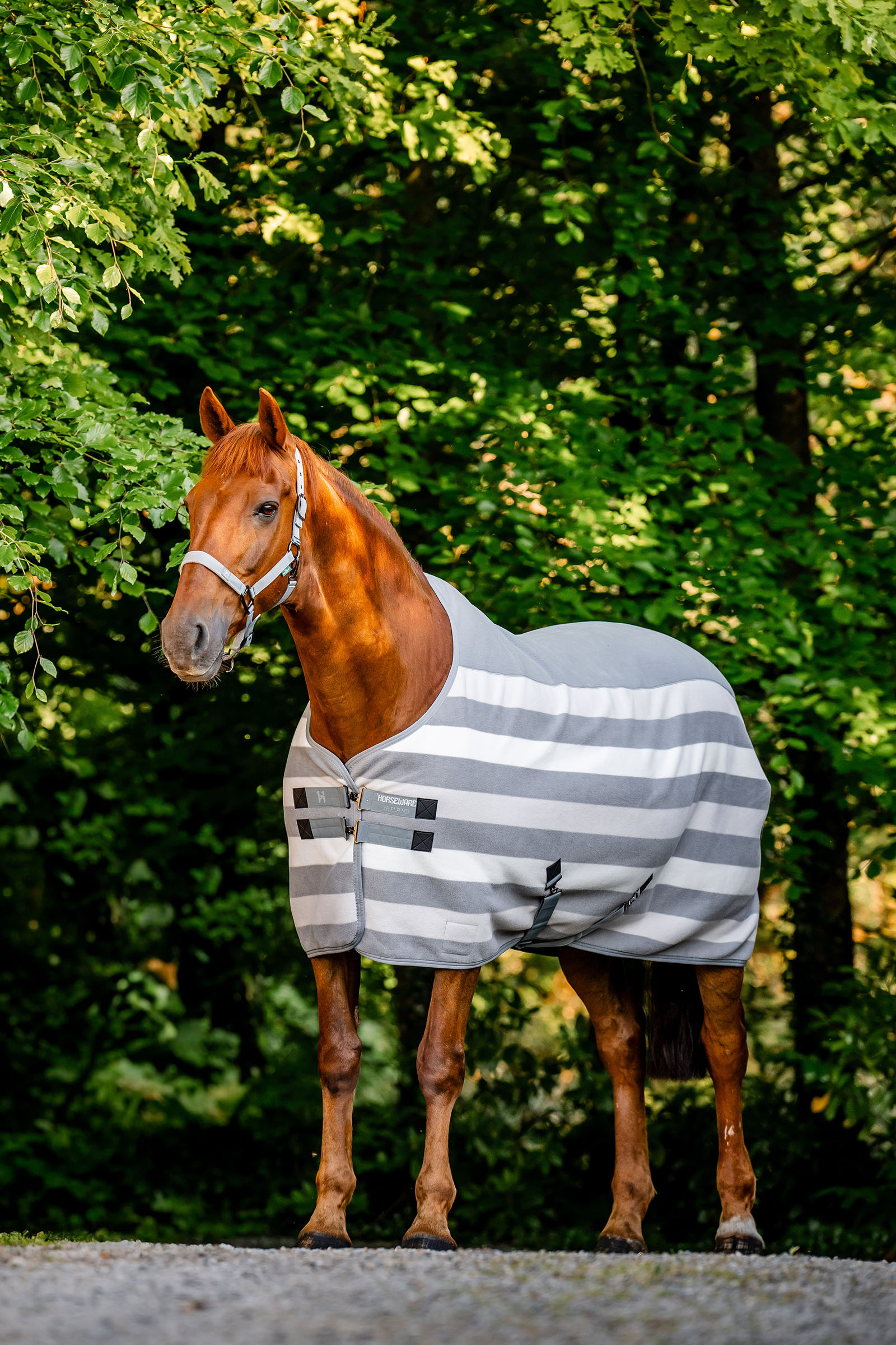 Horseware Newmarket Fleece Abschwitzdecke