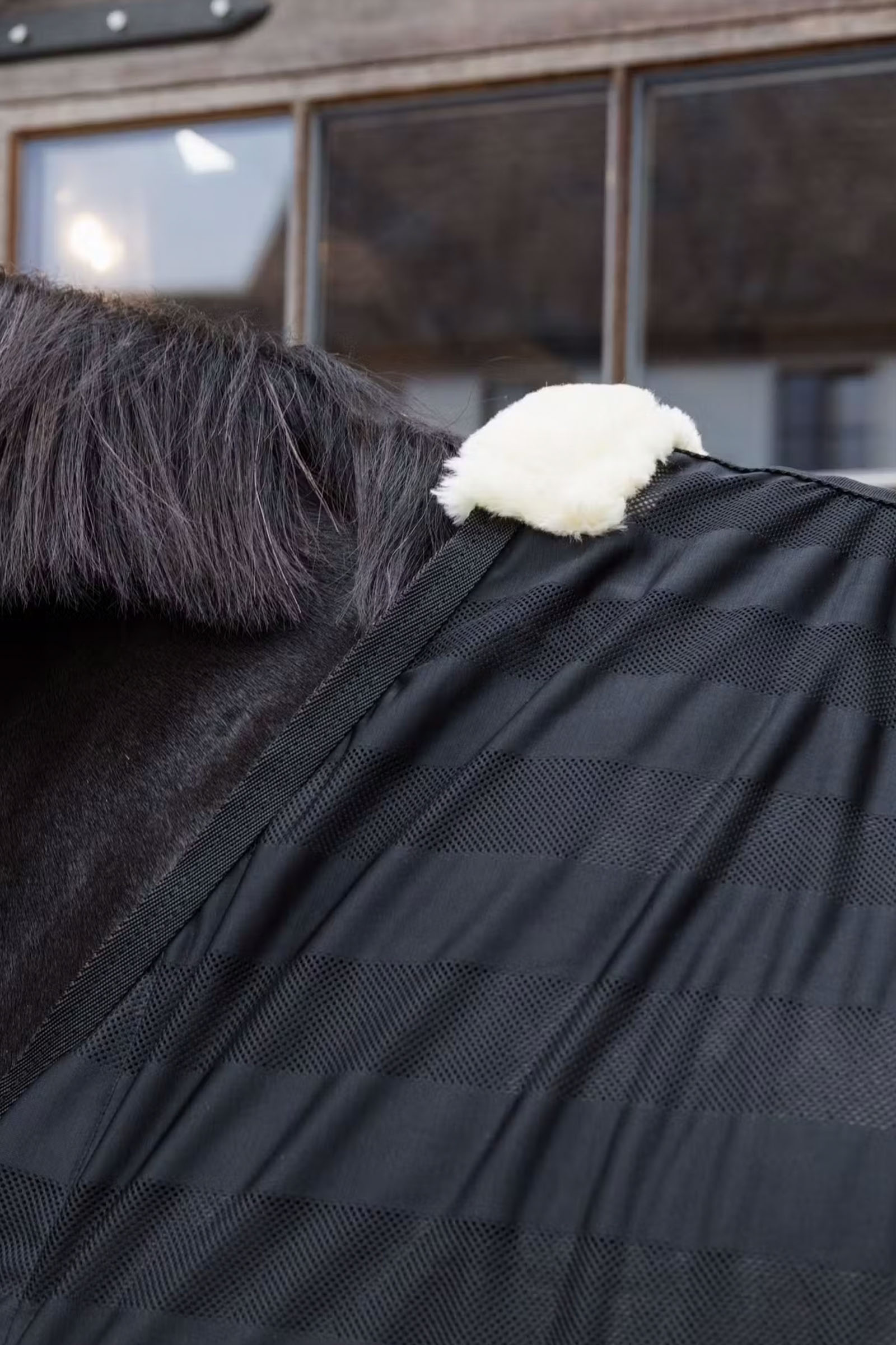 Kentucky Horsewear leichte gestreifte Fliegendecke aus Mesh