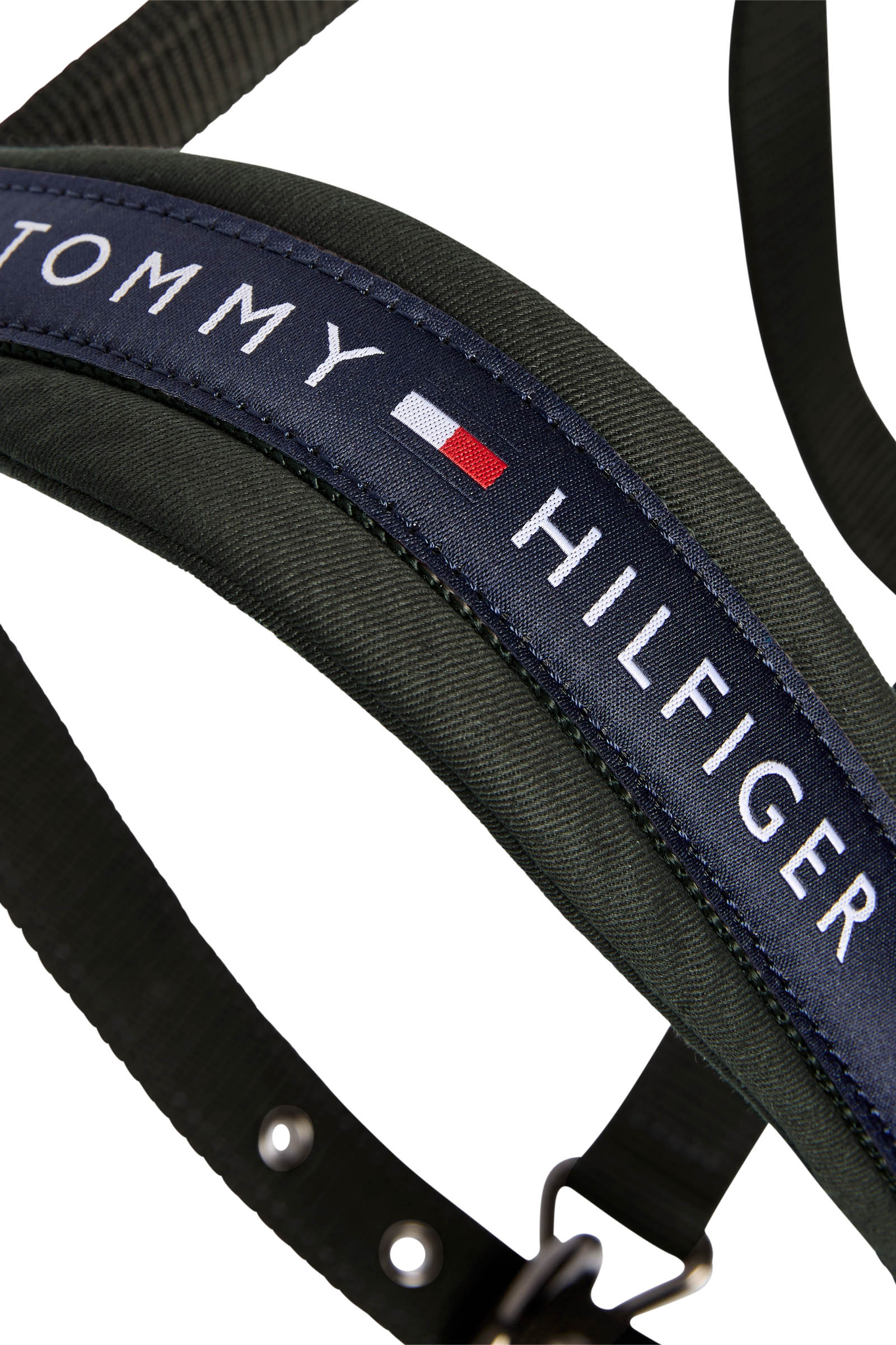 Tommy Hilfiger Equestrian Lincoln Halfter