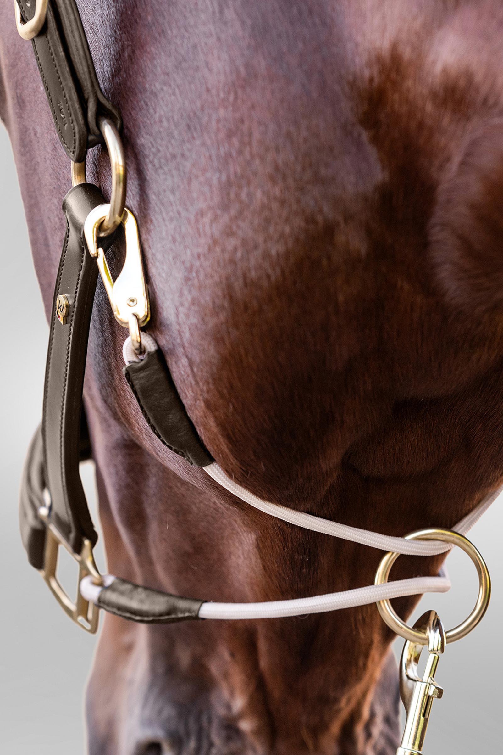 Royal Waldhausen S-Line Lederhalfter