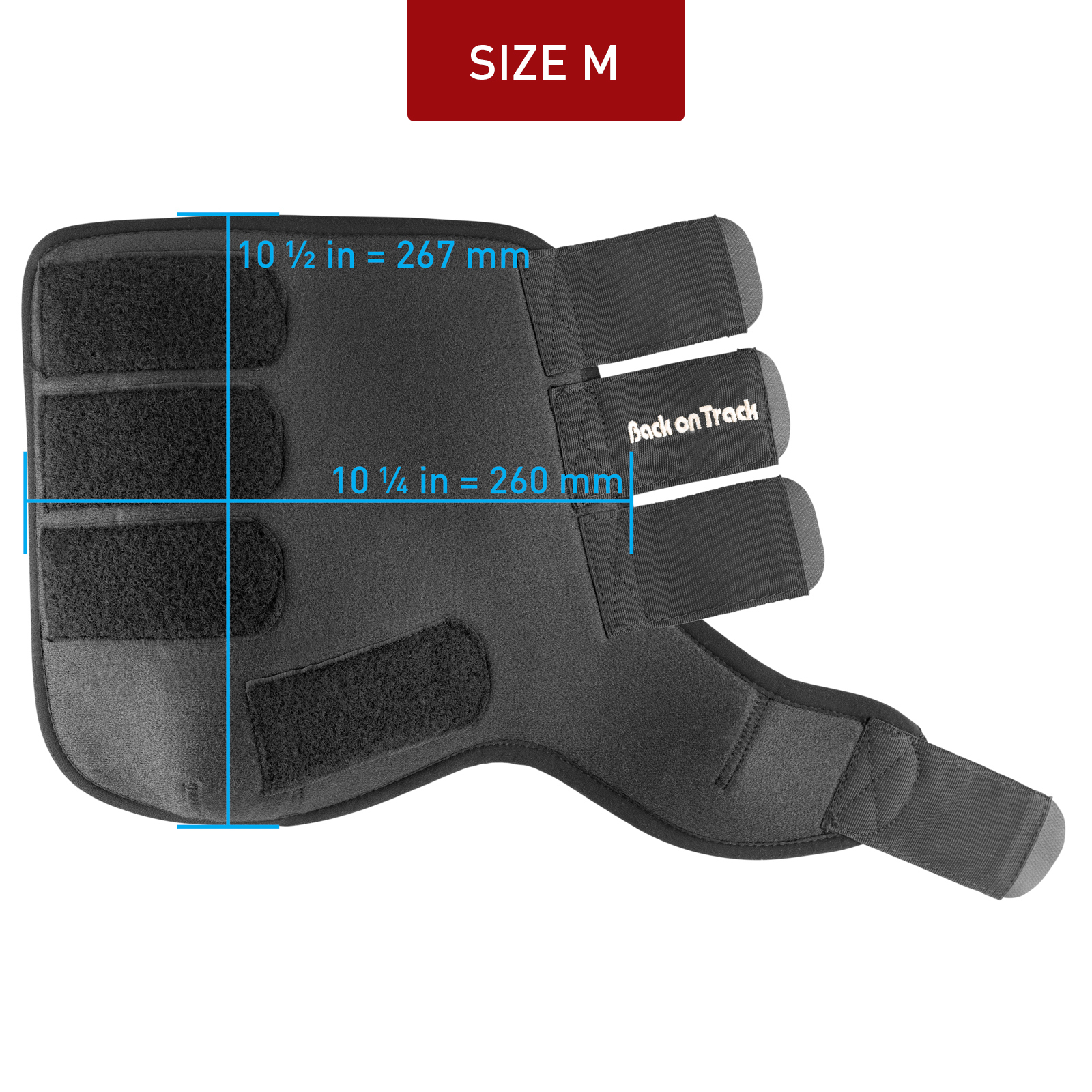 Back on Track Arbeitsgamaschen, Vorderbeine