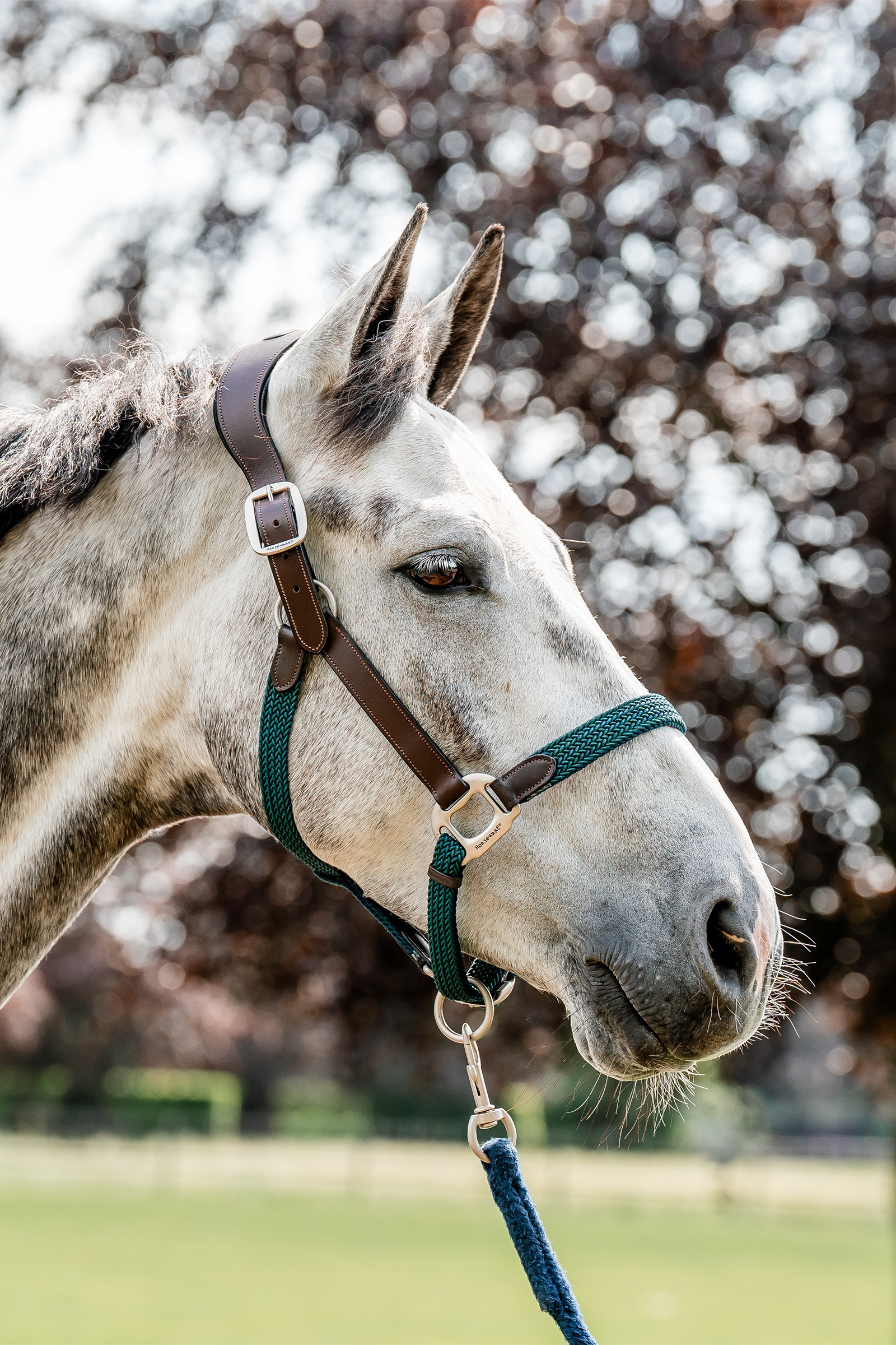 Horseware Signature geflochtenes Halfter