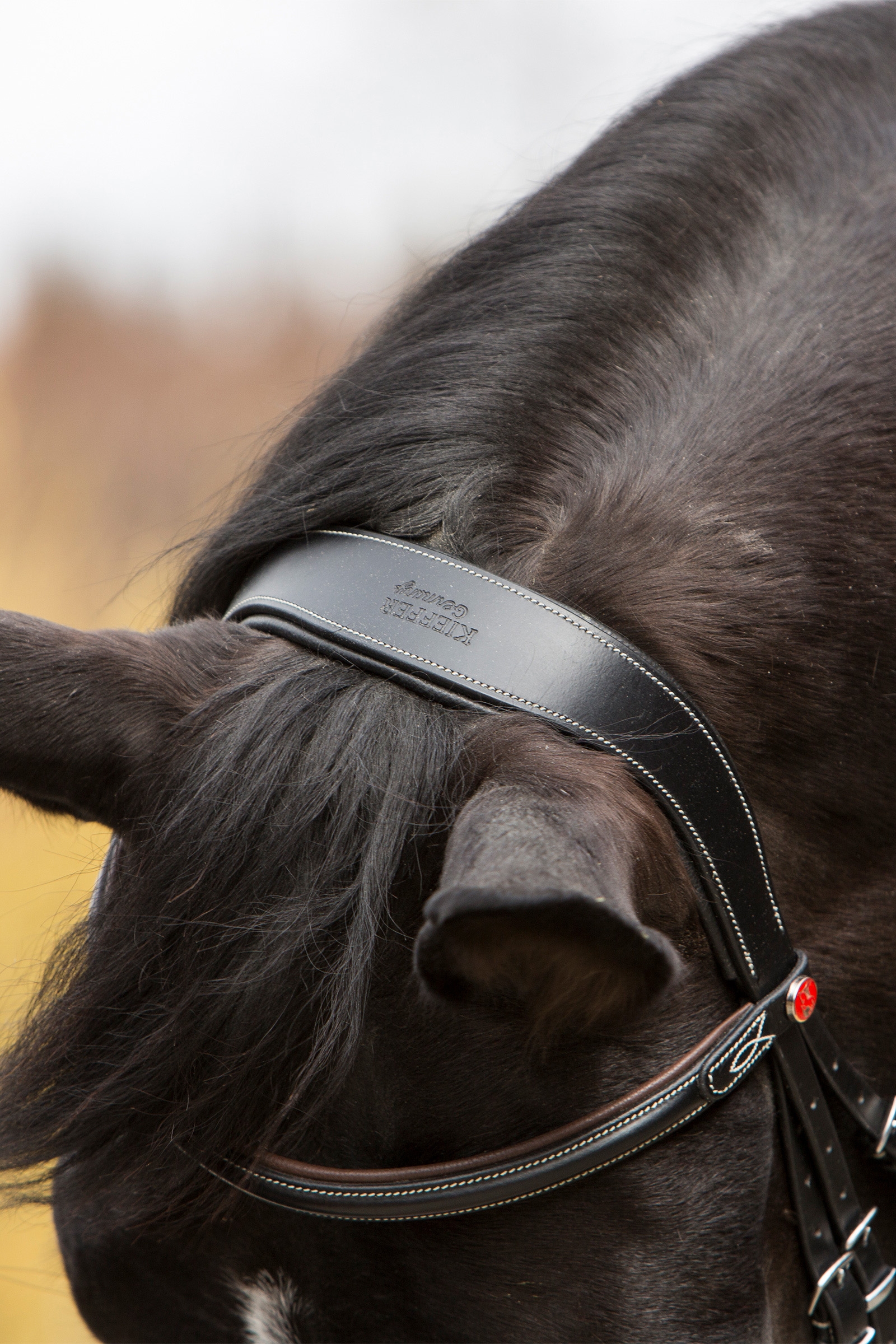 Kieffer Vera Trensenzaum