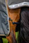Horseware Amigo Bravo 12 Plus Weidedecke mit abnehmbarem Halsteil, 0g