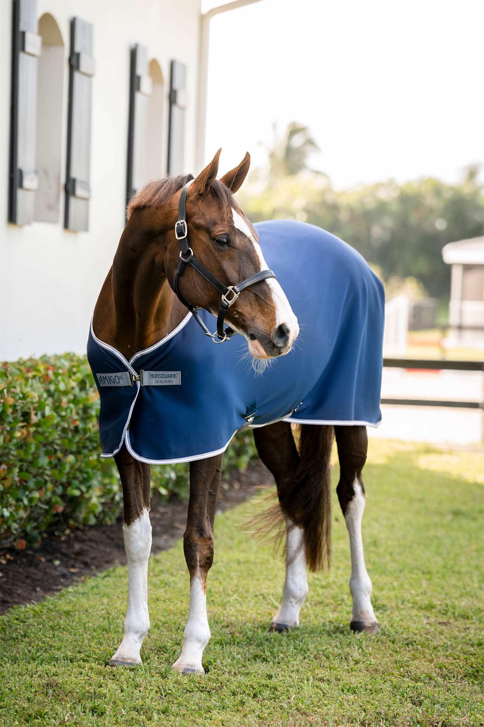 Horseware Amigo Jersey Cooler Abschwitzdecke