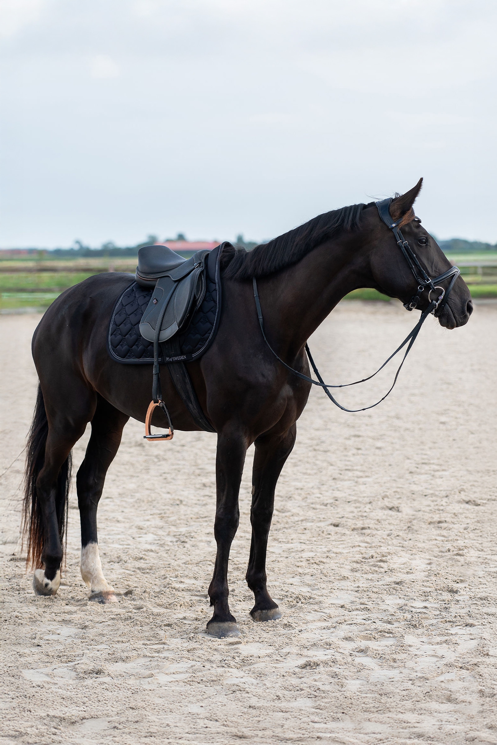 PS of Sweden Herz Springschabracke