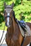 Tommy Hilfiger Equestrian Lexington Fliegenhaube