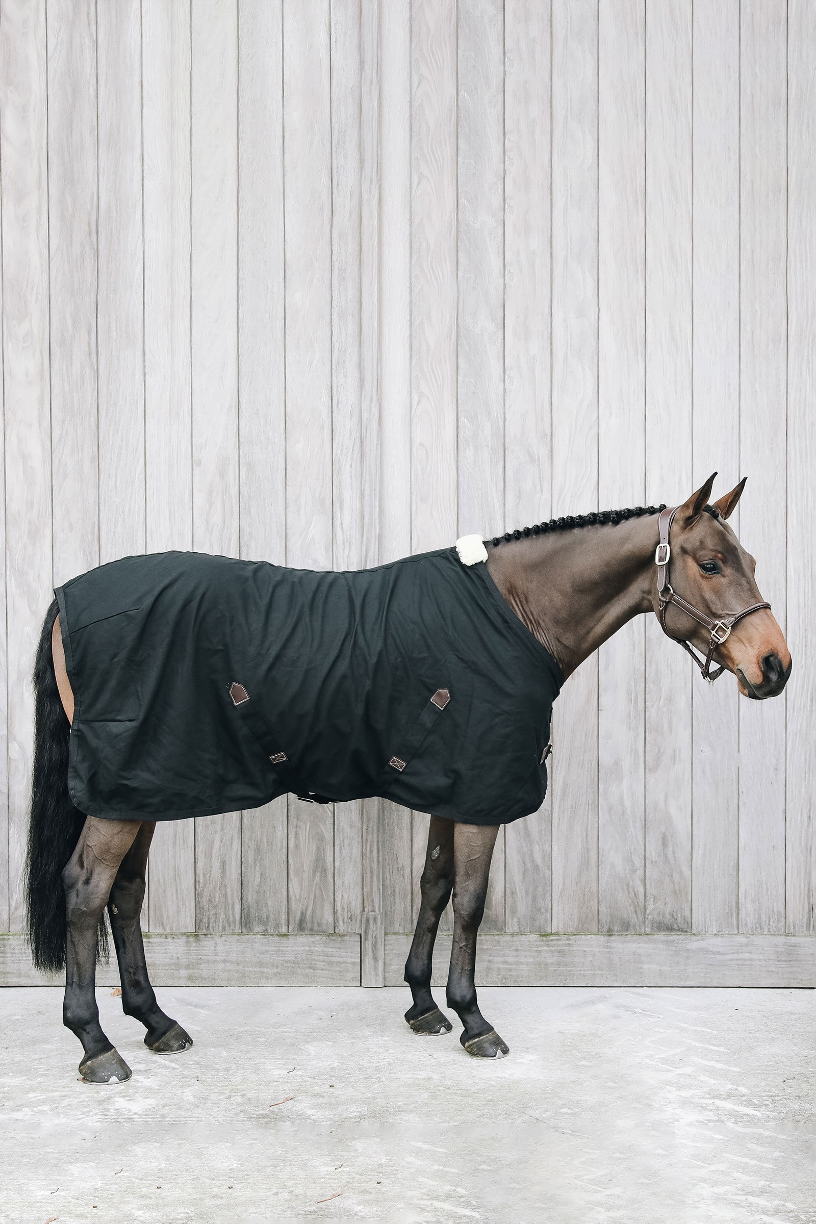 Kentucky Horsewear Baumwoll Abschwitzdecke