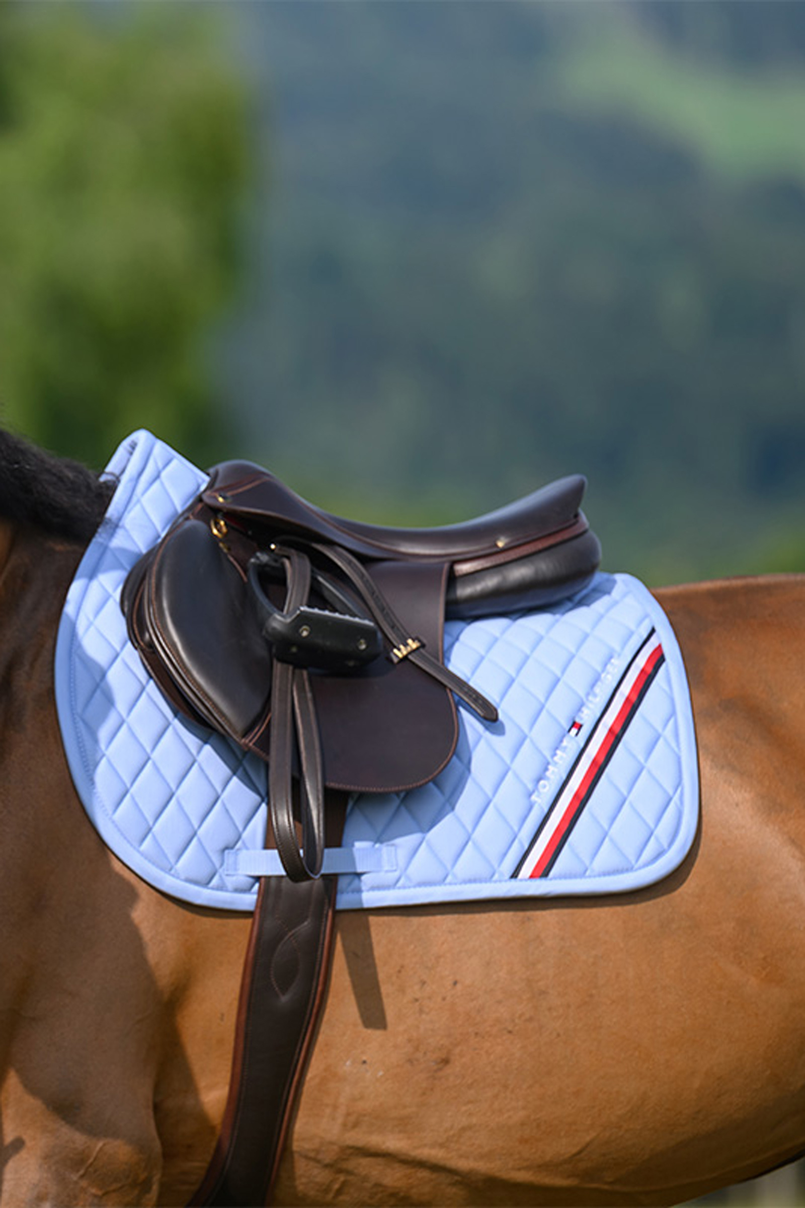 Tommy Hilfiger Equestrian Stanford Springschabracke