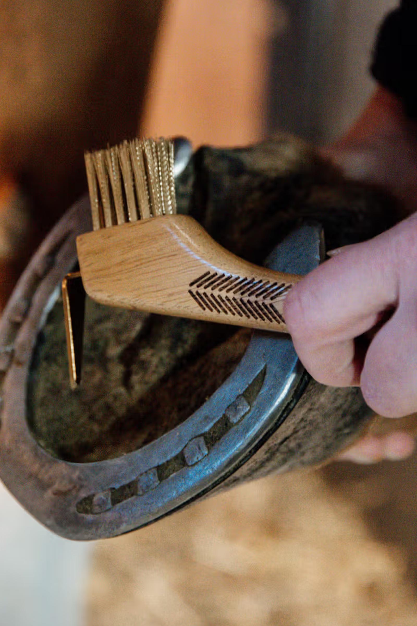 Grooming Deluxe Hufkratzer mit Metallborsten  