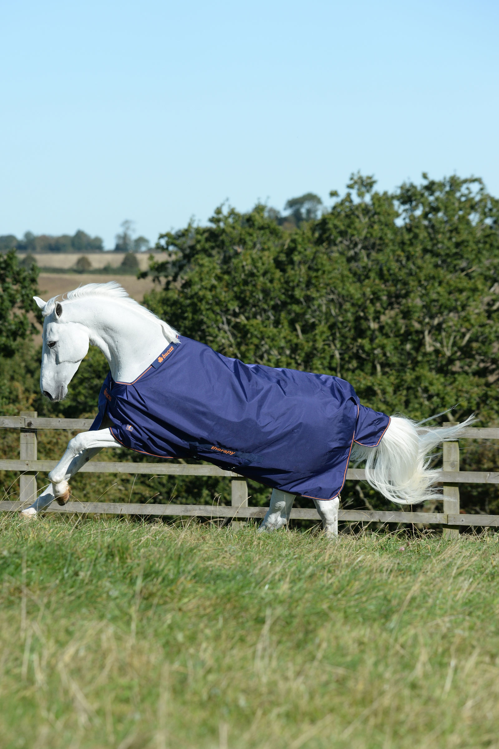 Bucas Therapy Weidedecke leicht, 50g