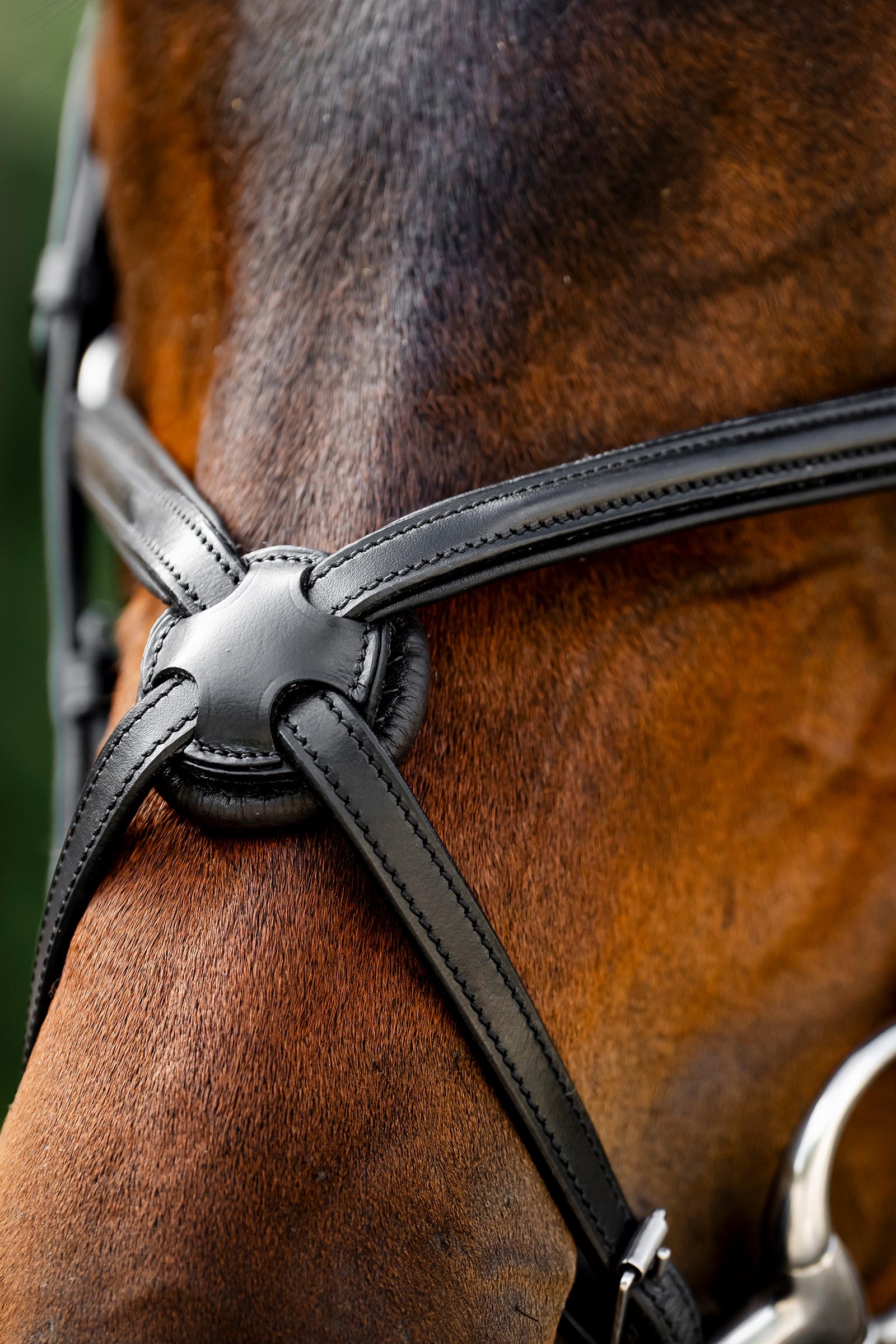 Horseware Trense mit Mexikanischem Reithalfter