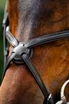Horseware Trense mit Mexikanischem Reithalfter