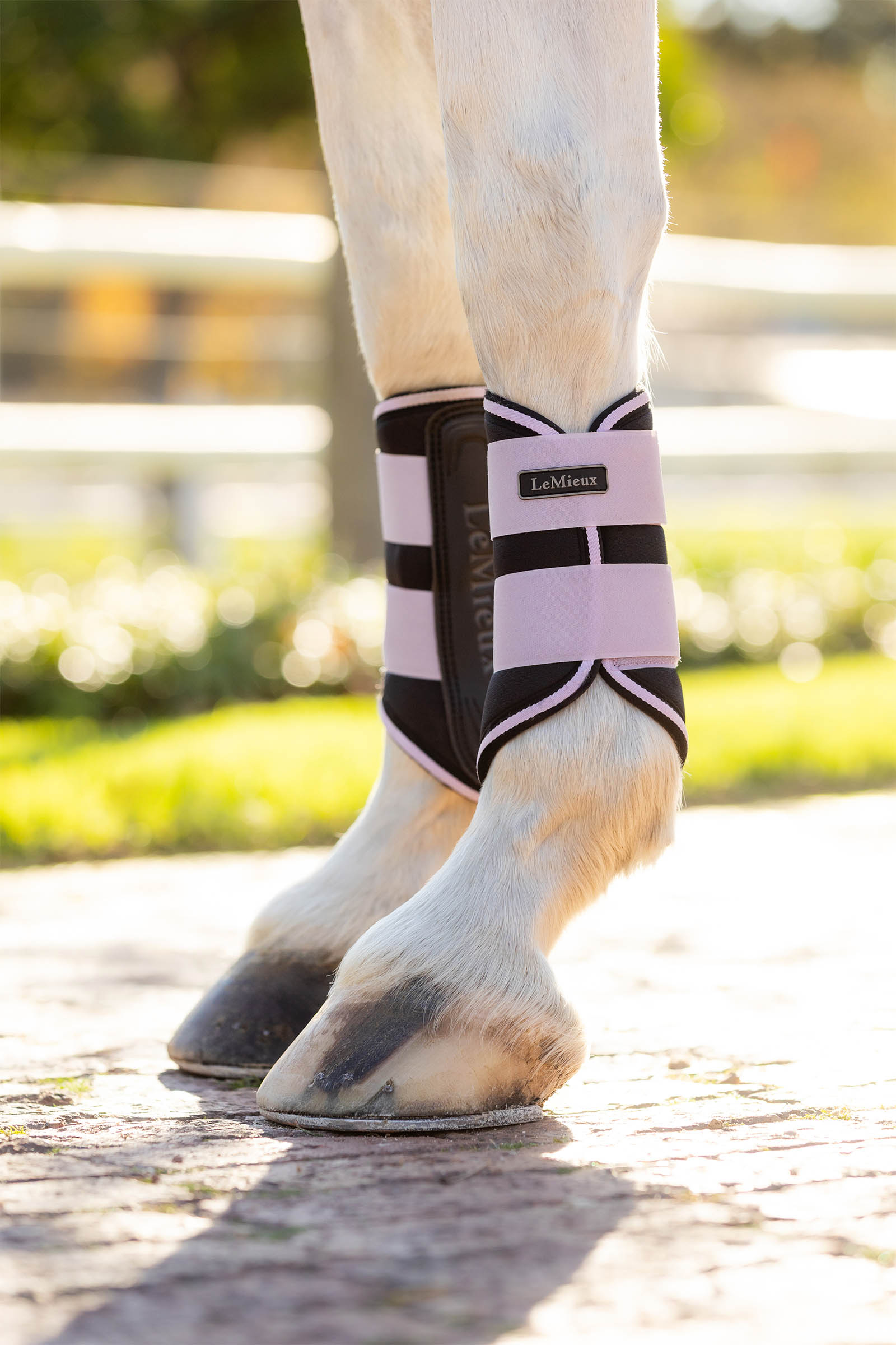 LeMieux Grafter Dressurgamaschen