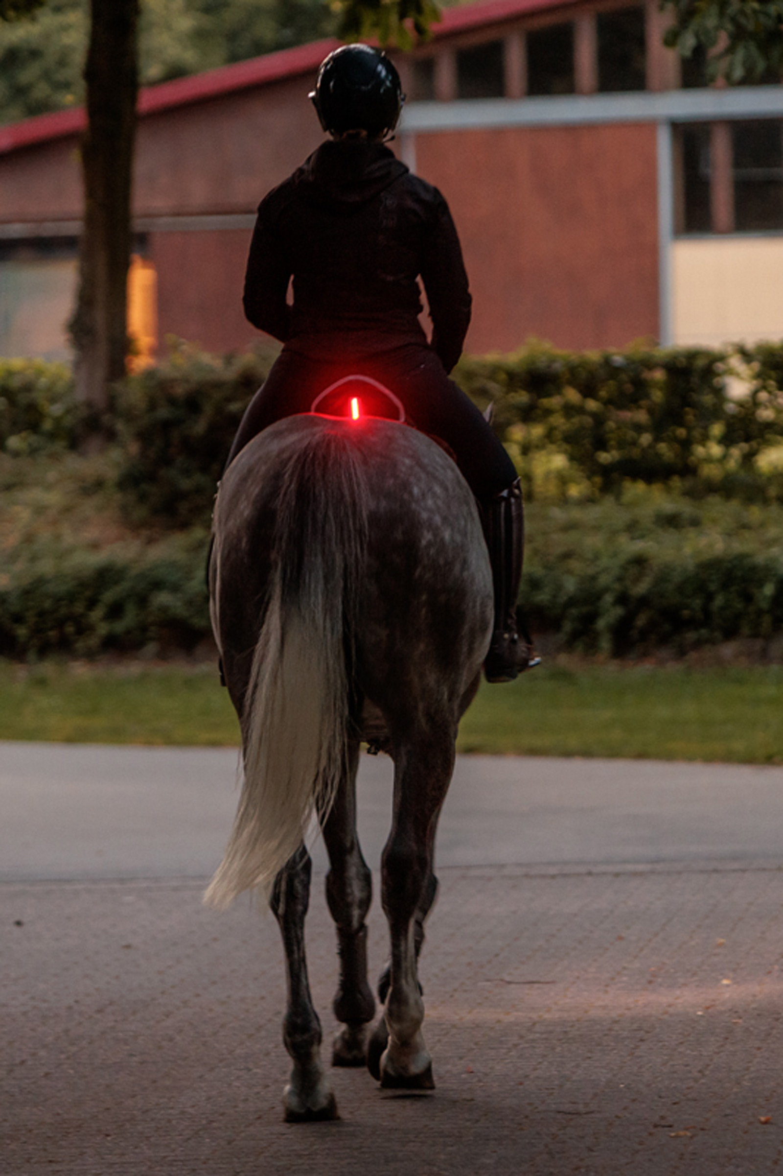 Kavalkade Horselight rotes R&uuml;cklicht f&uuml;r den Sattel