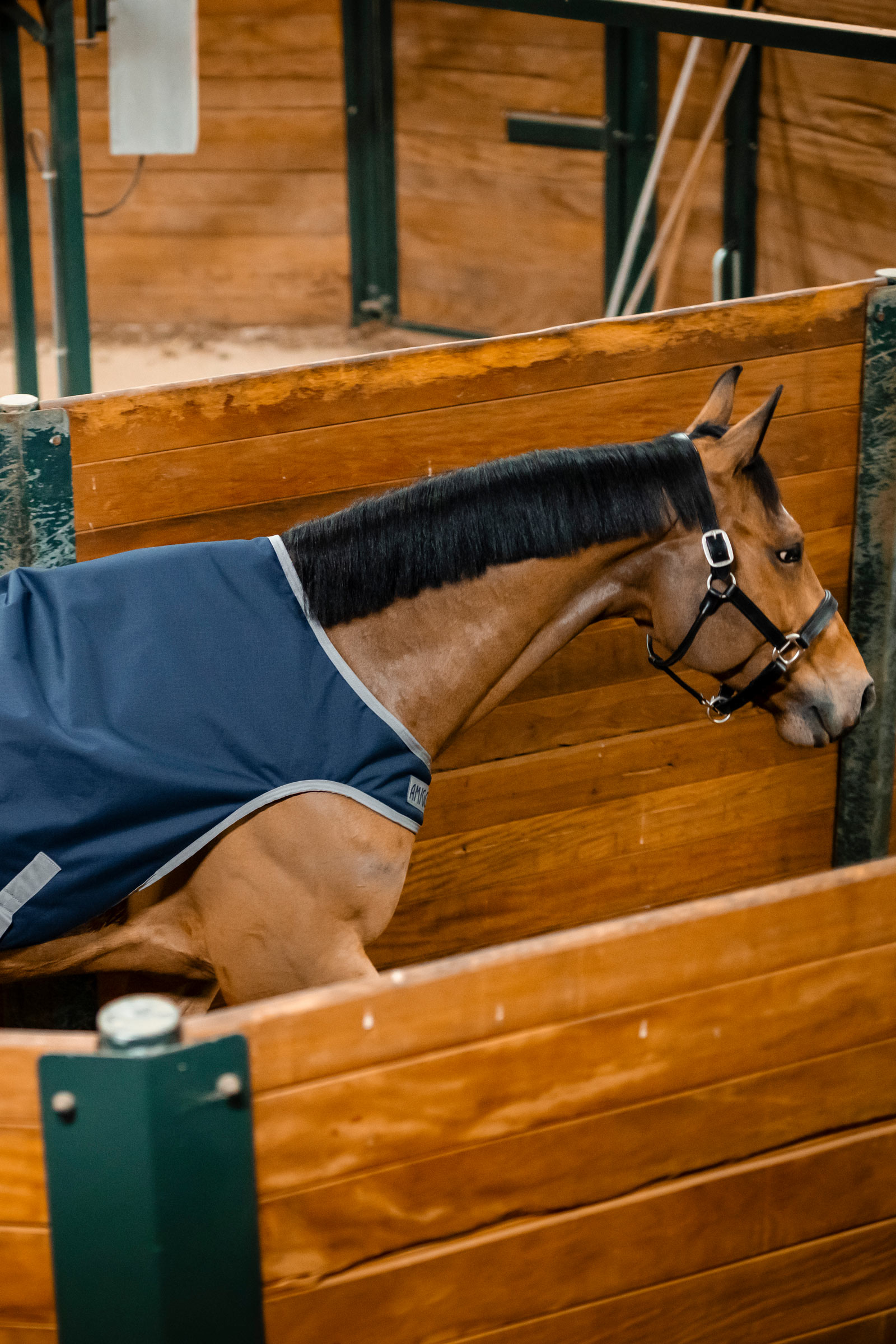 Horseware Amigo Ripstop 900D Walker-Decke, 100 g