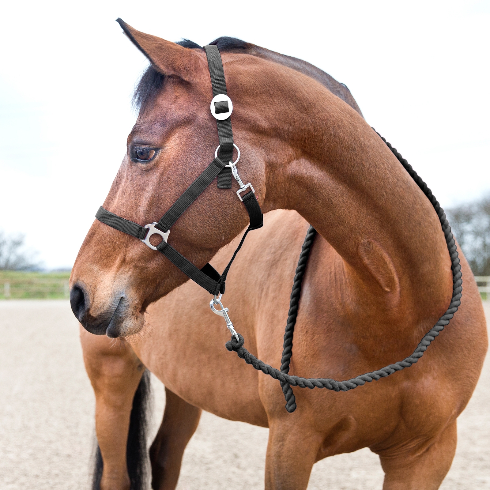 Horze Basic F&uuml;hrstrick